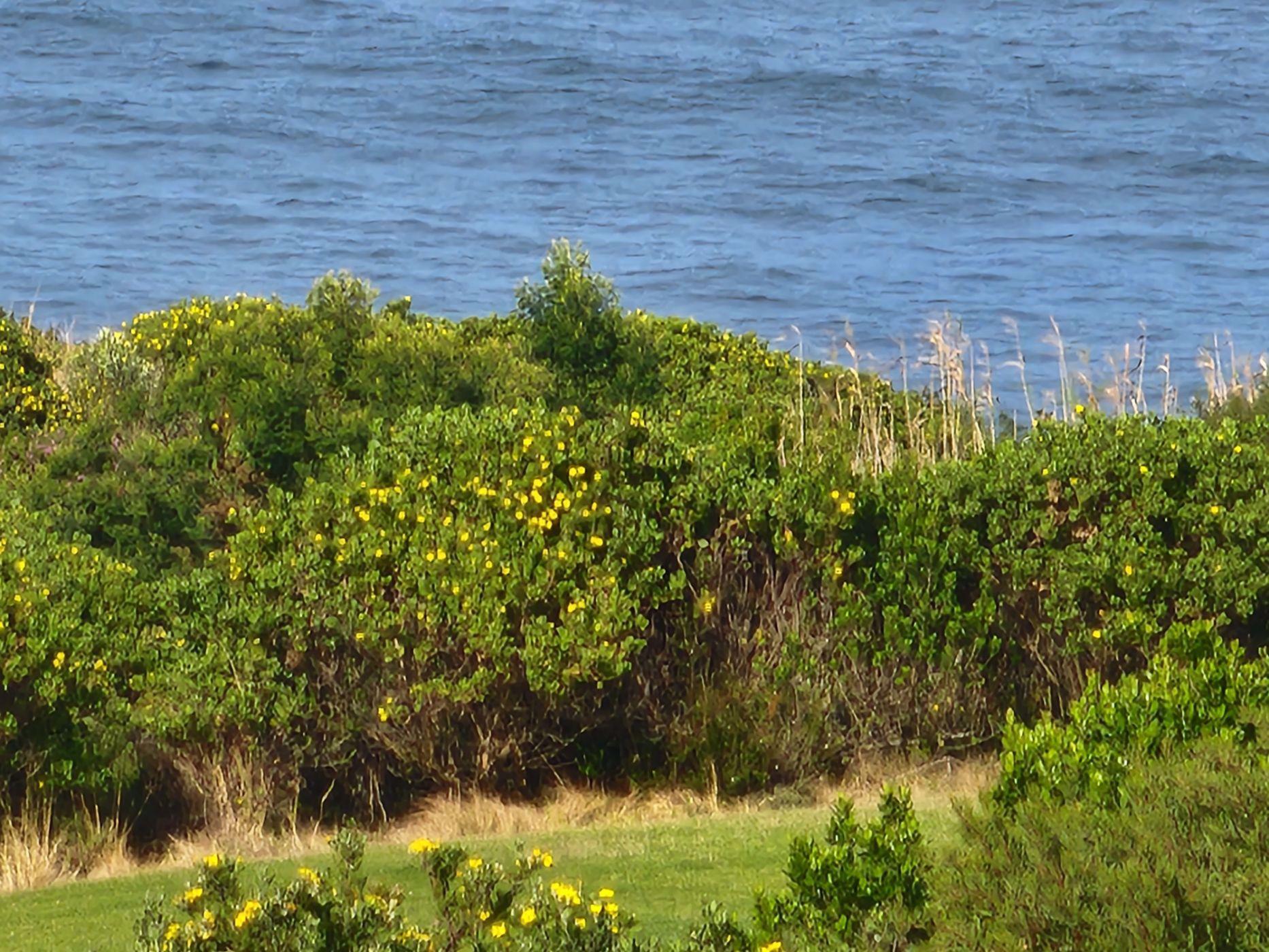 Image 5 of 6