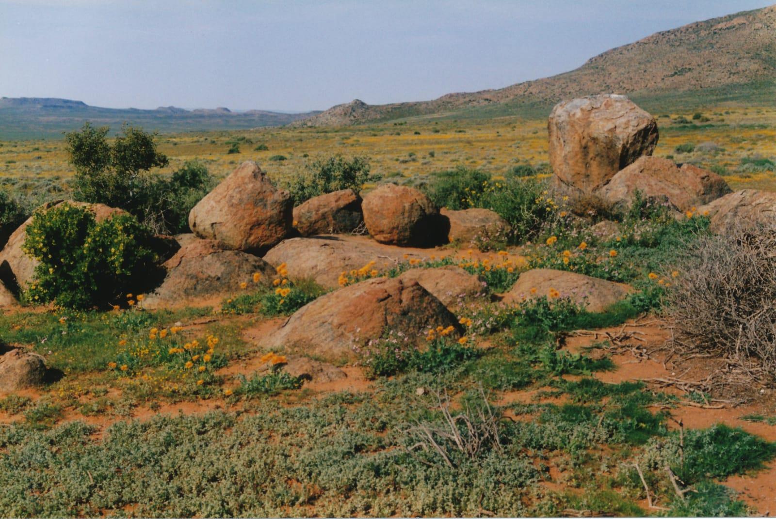 Image 34