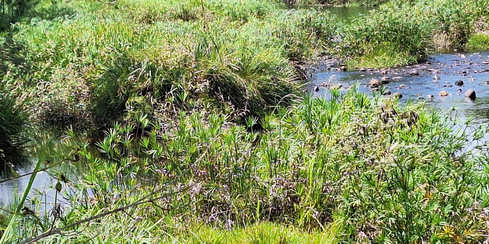 Image 4 of 6