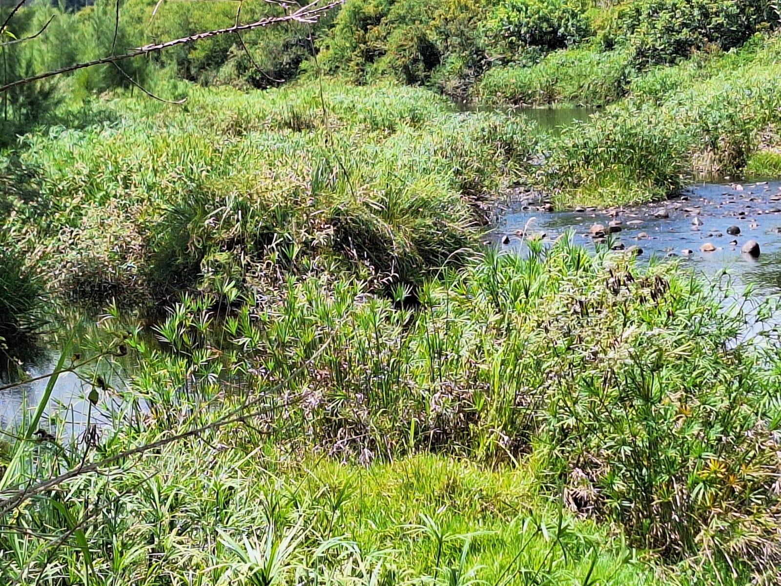 Image 4 of 6