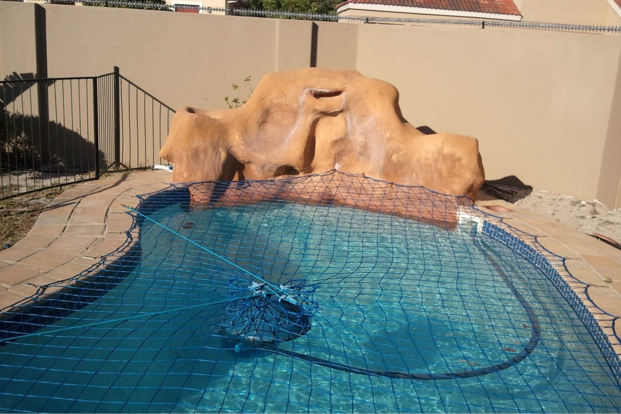 Image 3 of 6