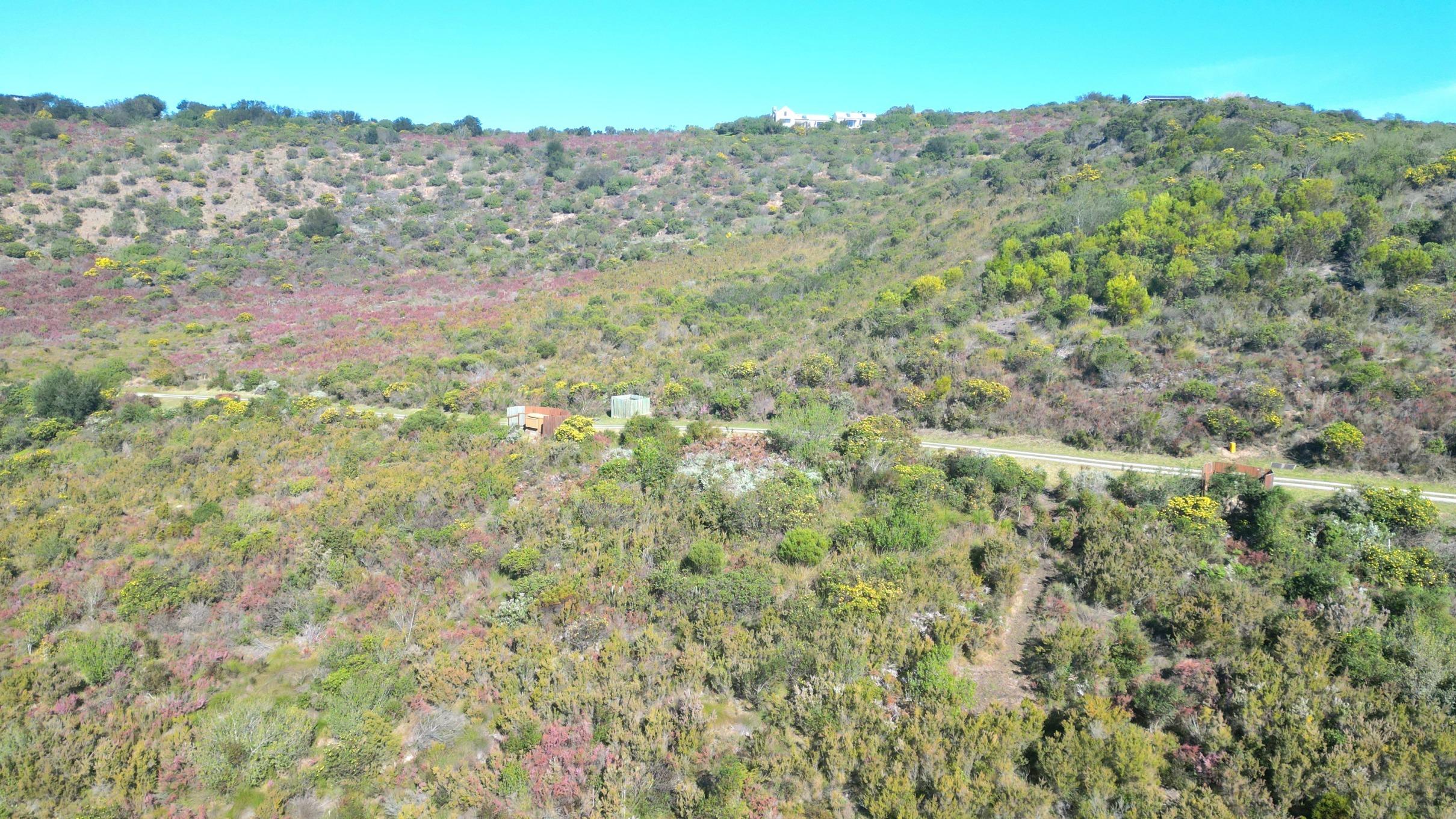 Image 13