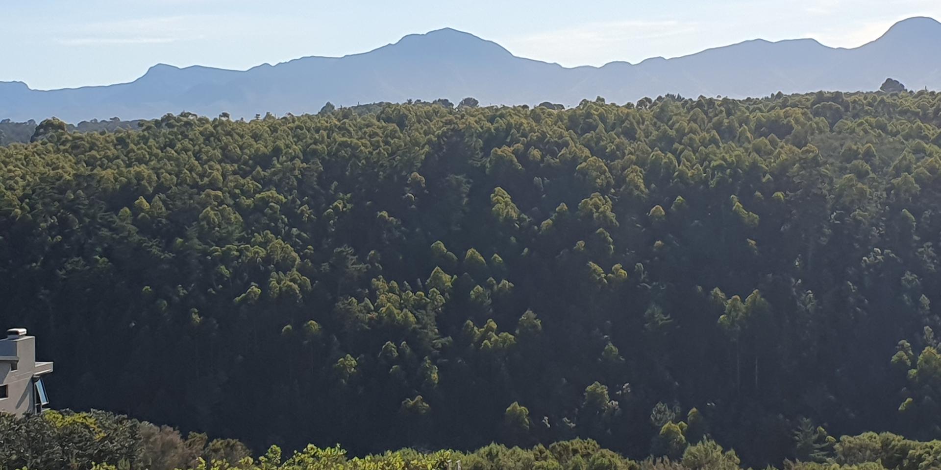 Image 5 of 6