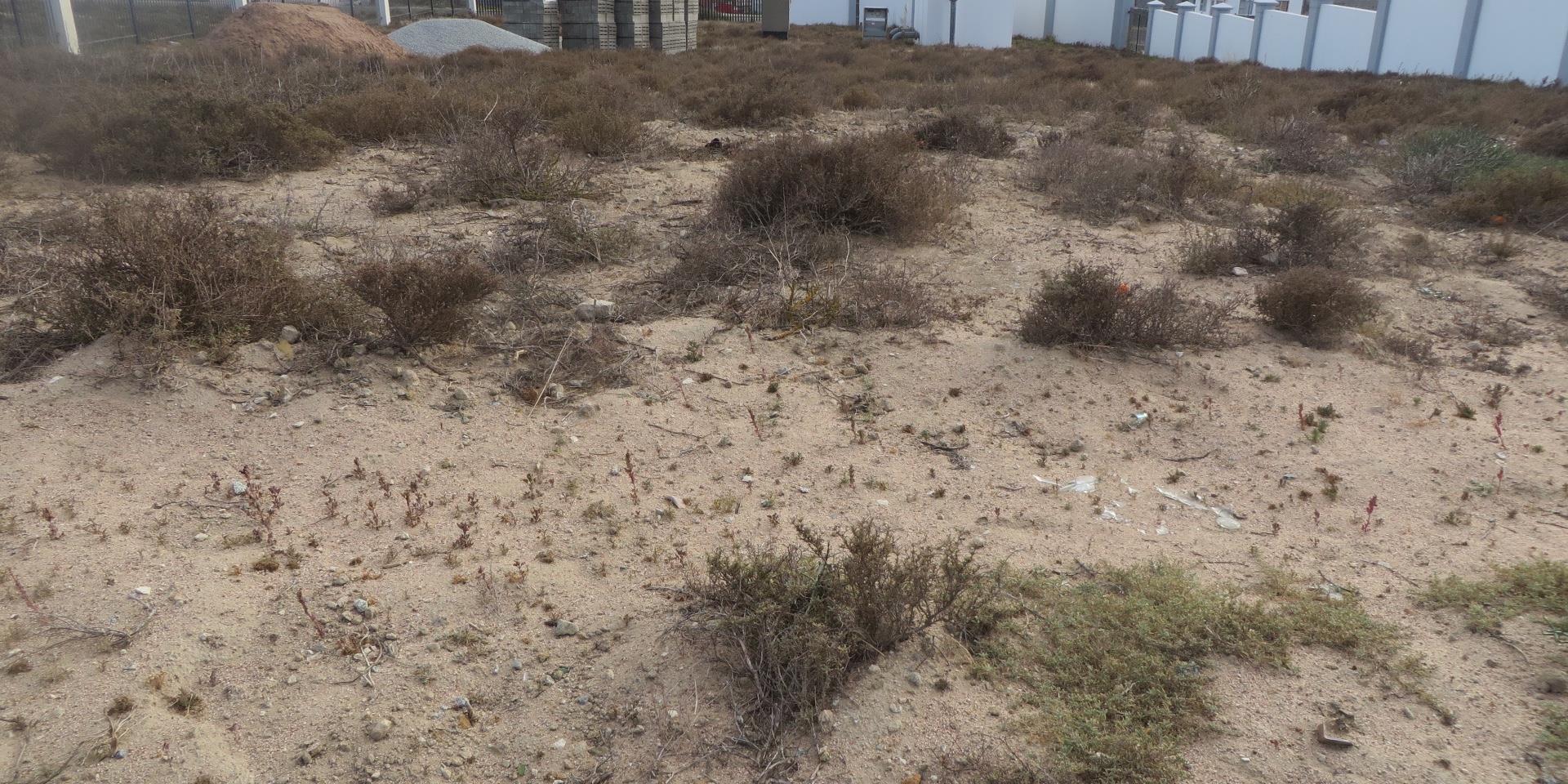 Image 4 of 6