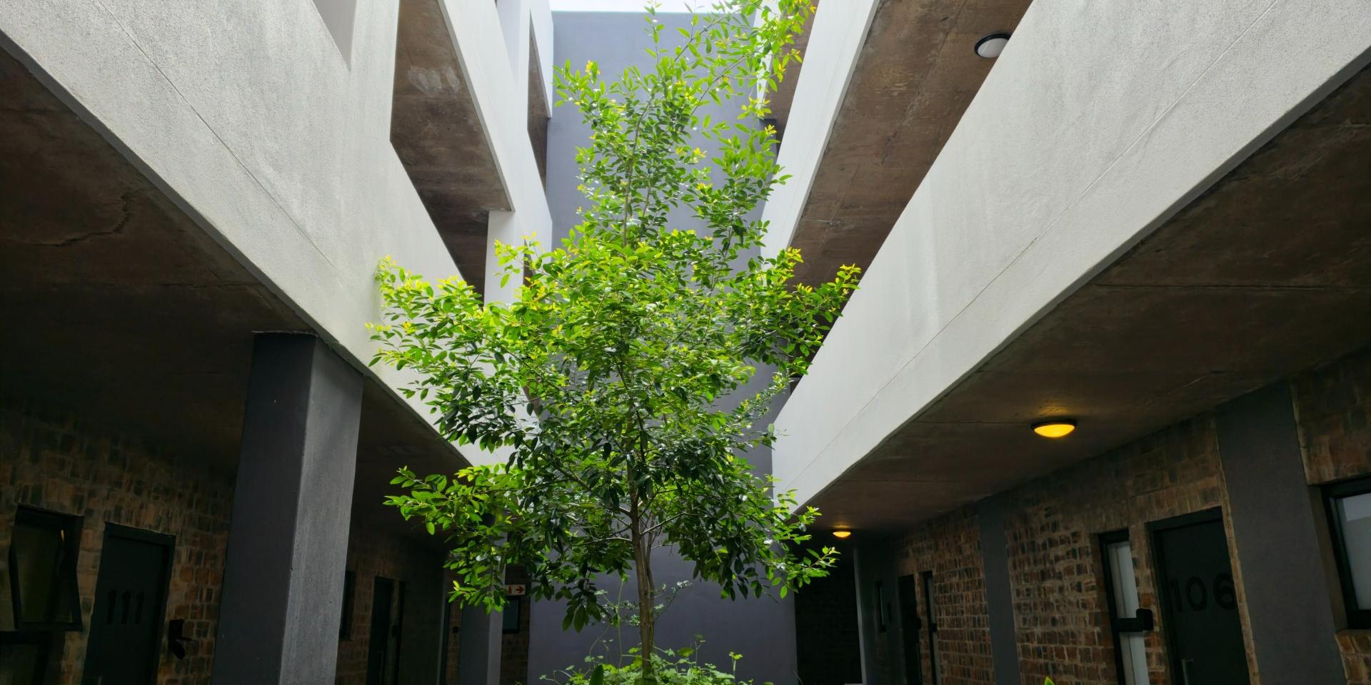 Image 3 of 6