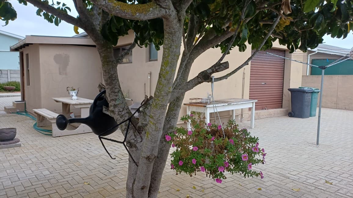 Image 32