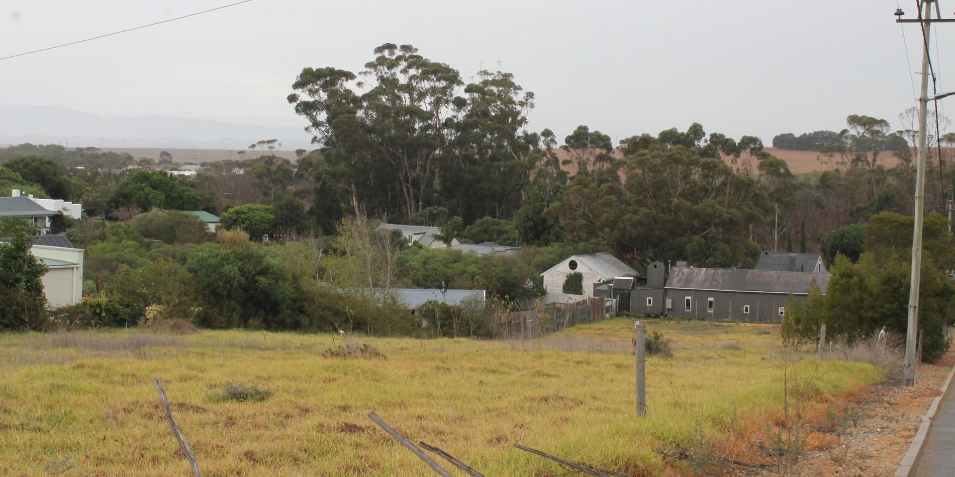 Image 3 of 6