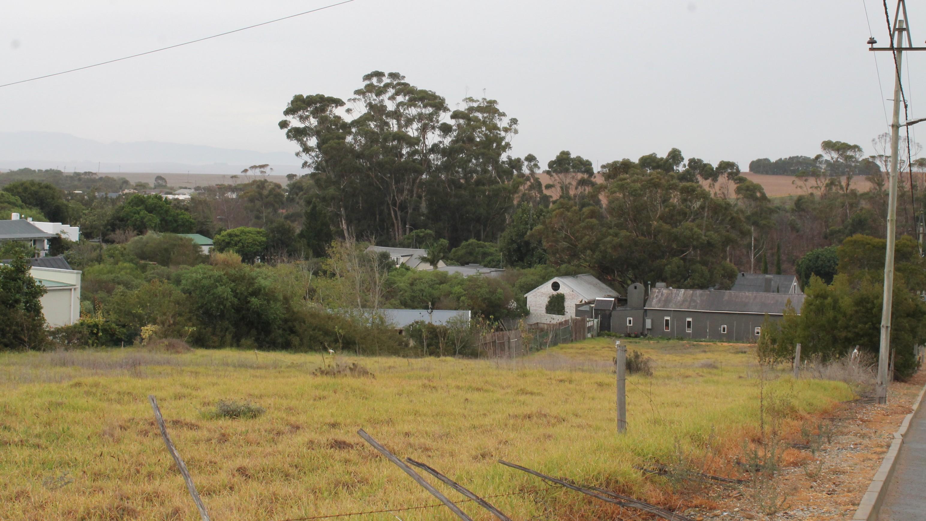 Image 3 of 6