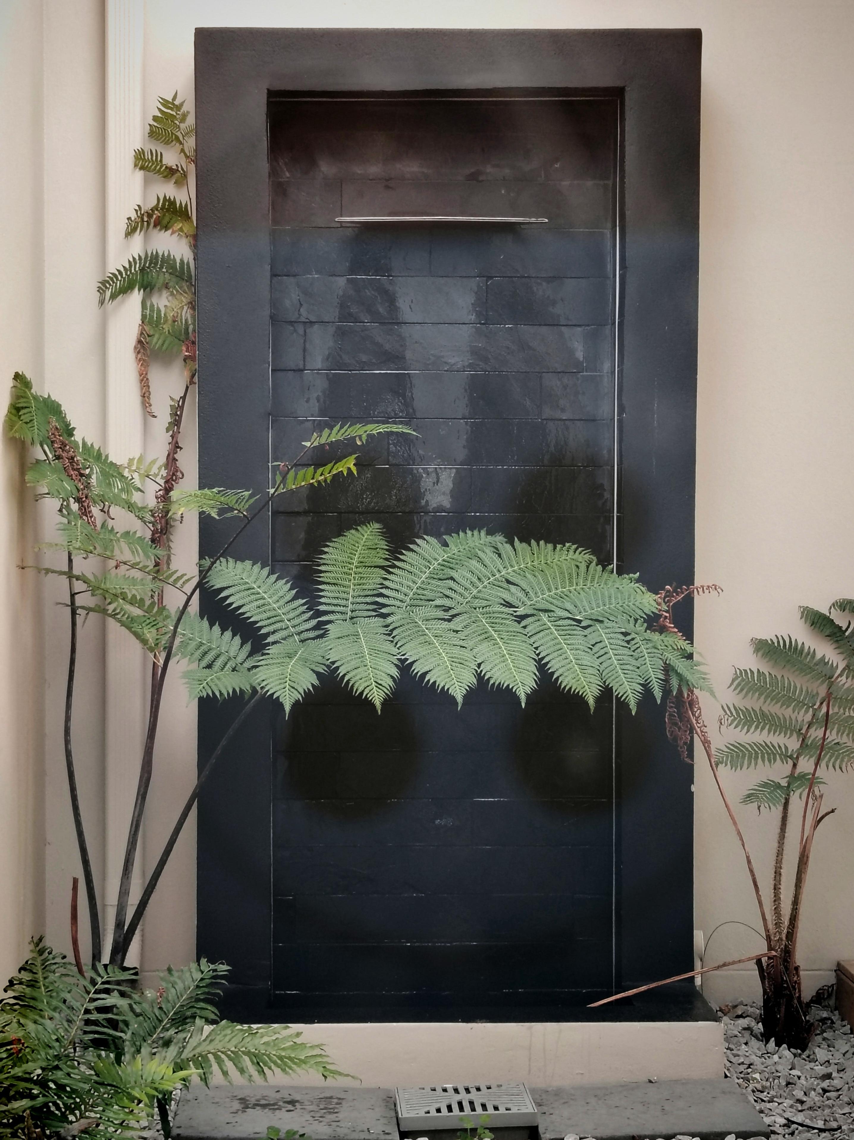 Image 20