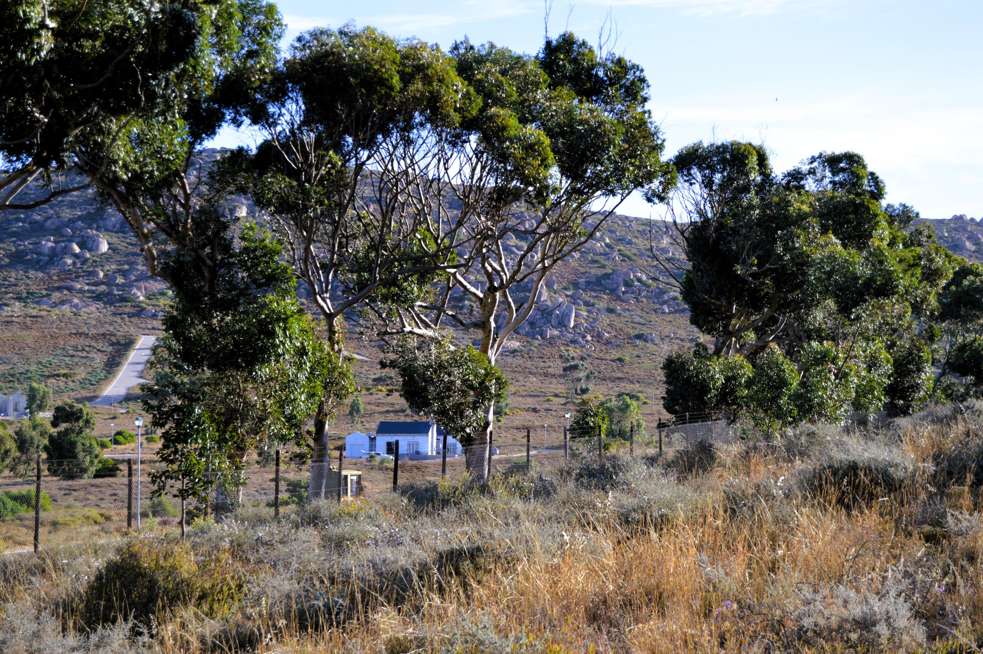 Image 2 of 6