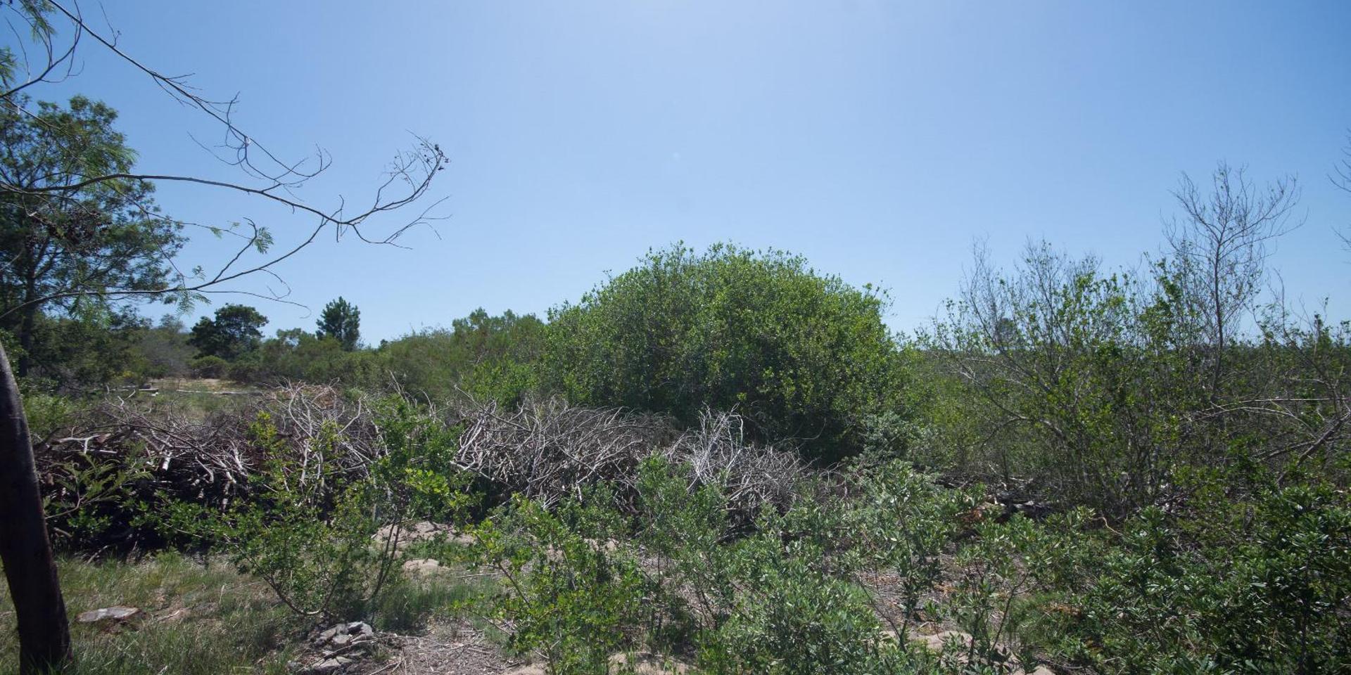 Image 4 of 6