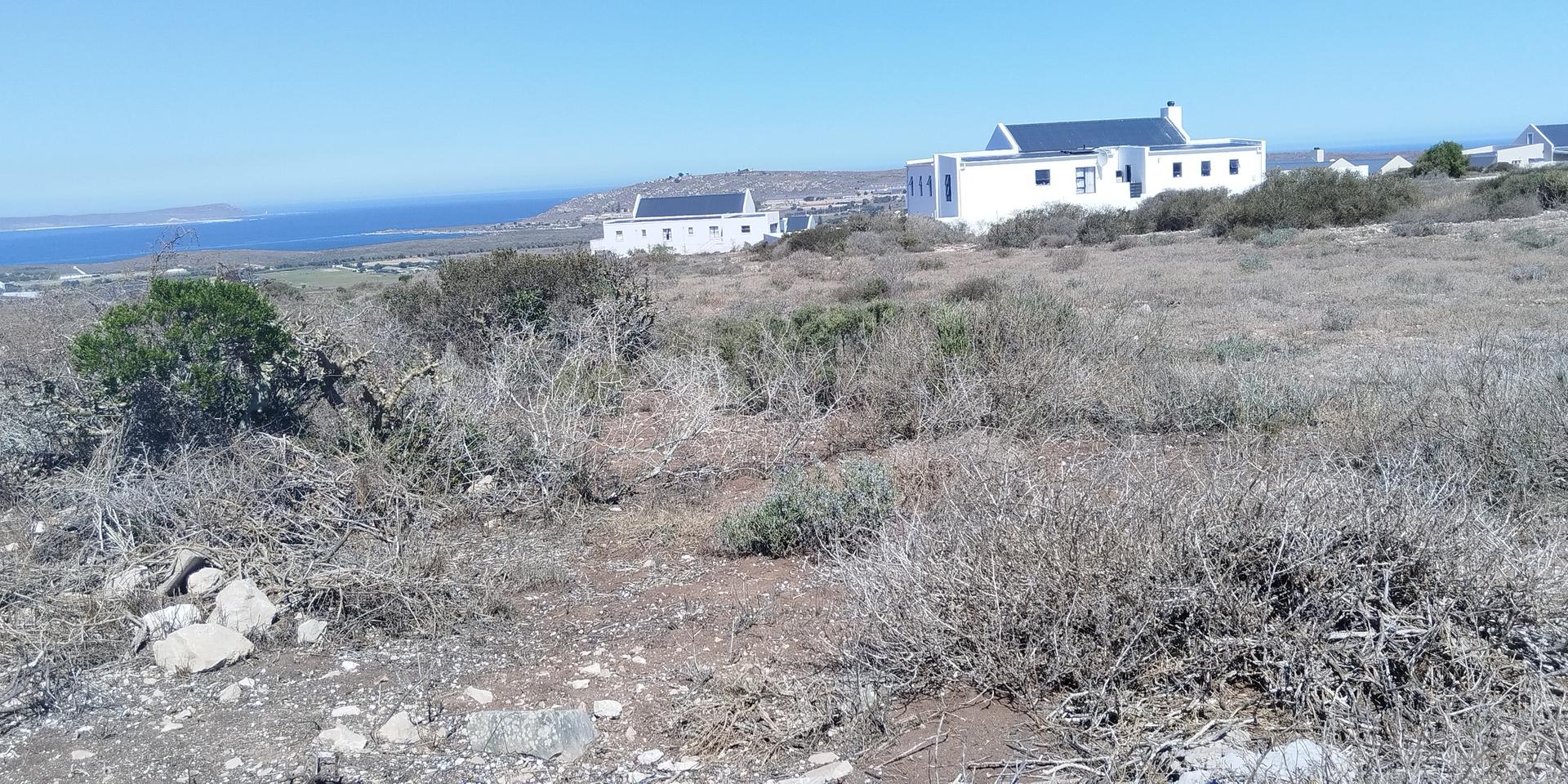 Image 5 of 6