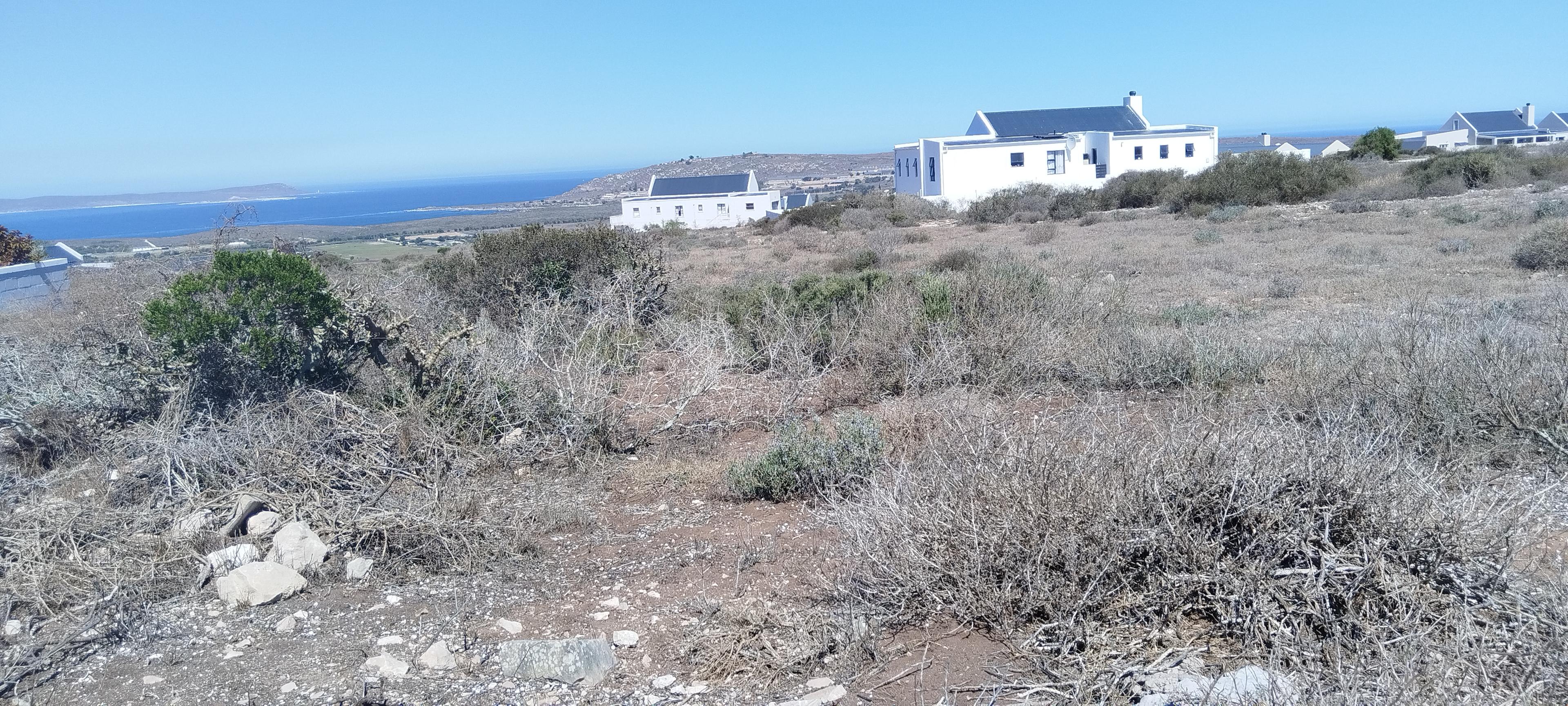 Image 5 of 6