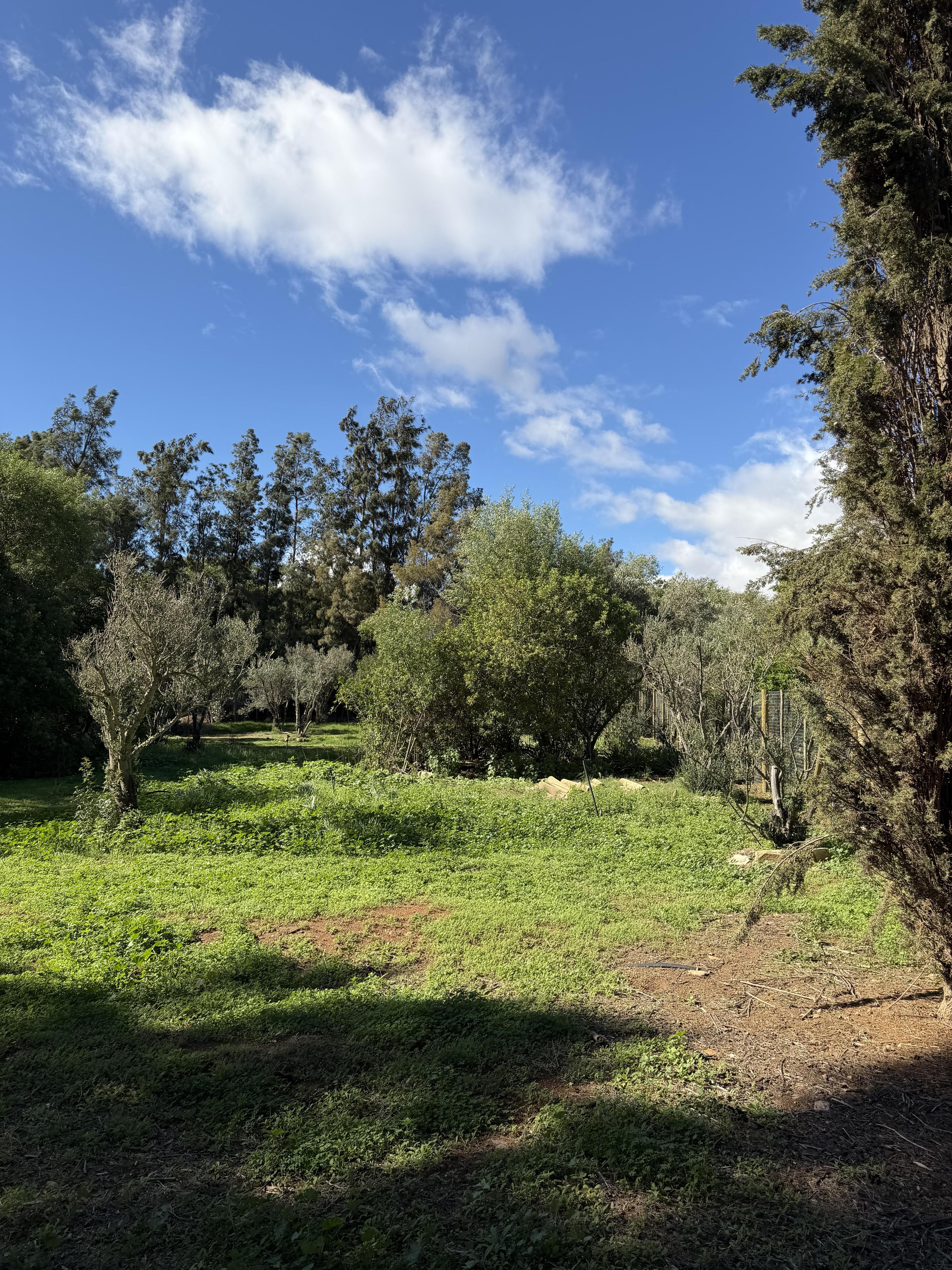 Image 5 of 6