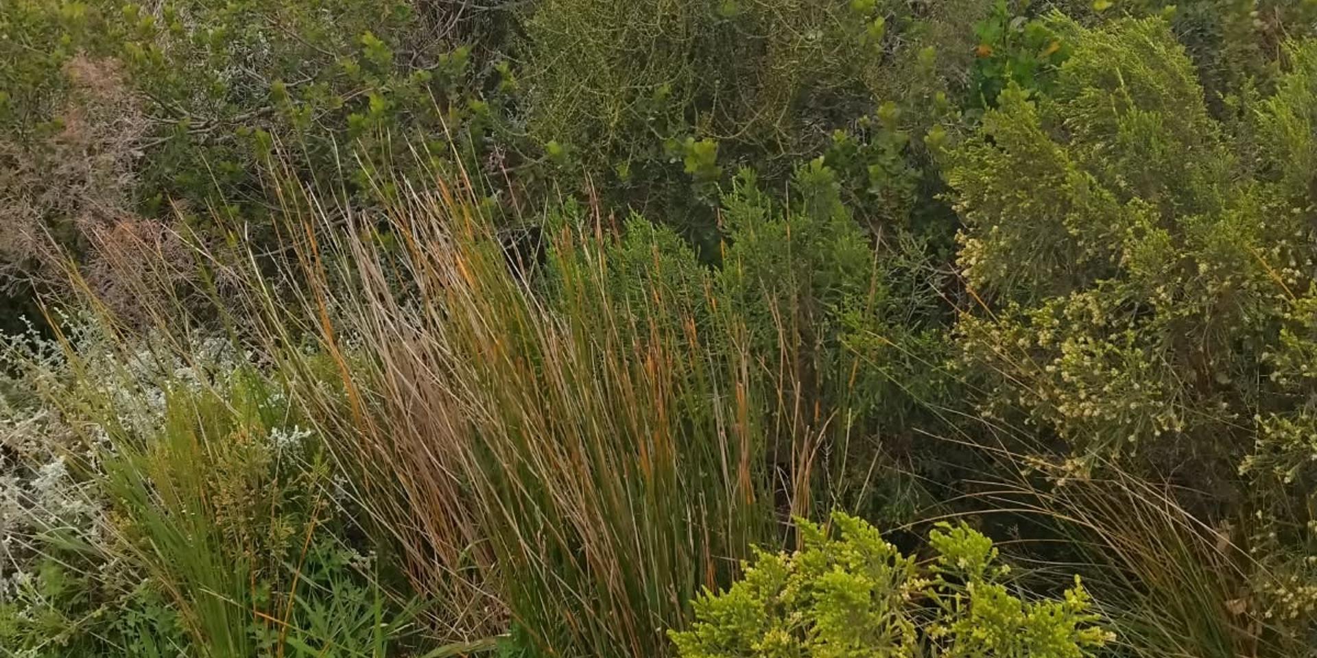 Image 2 of 6