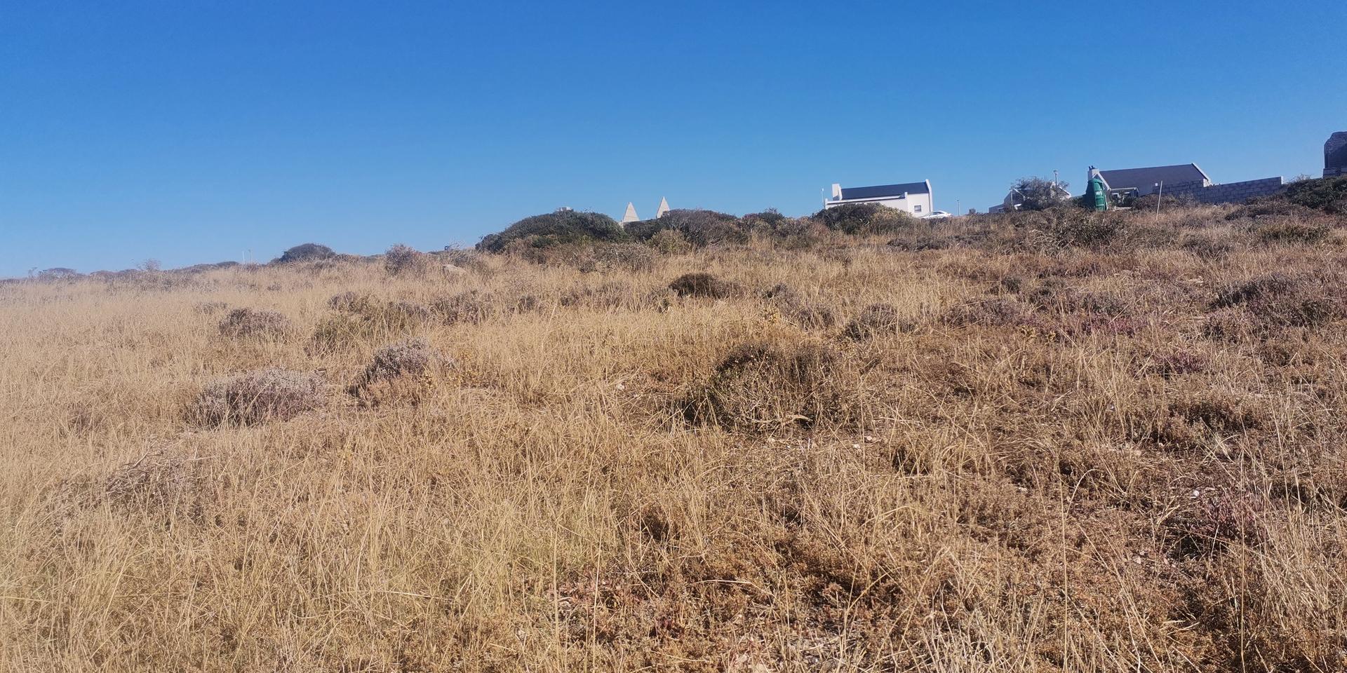 Image 4 of 6