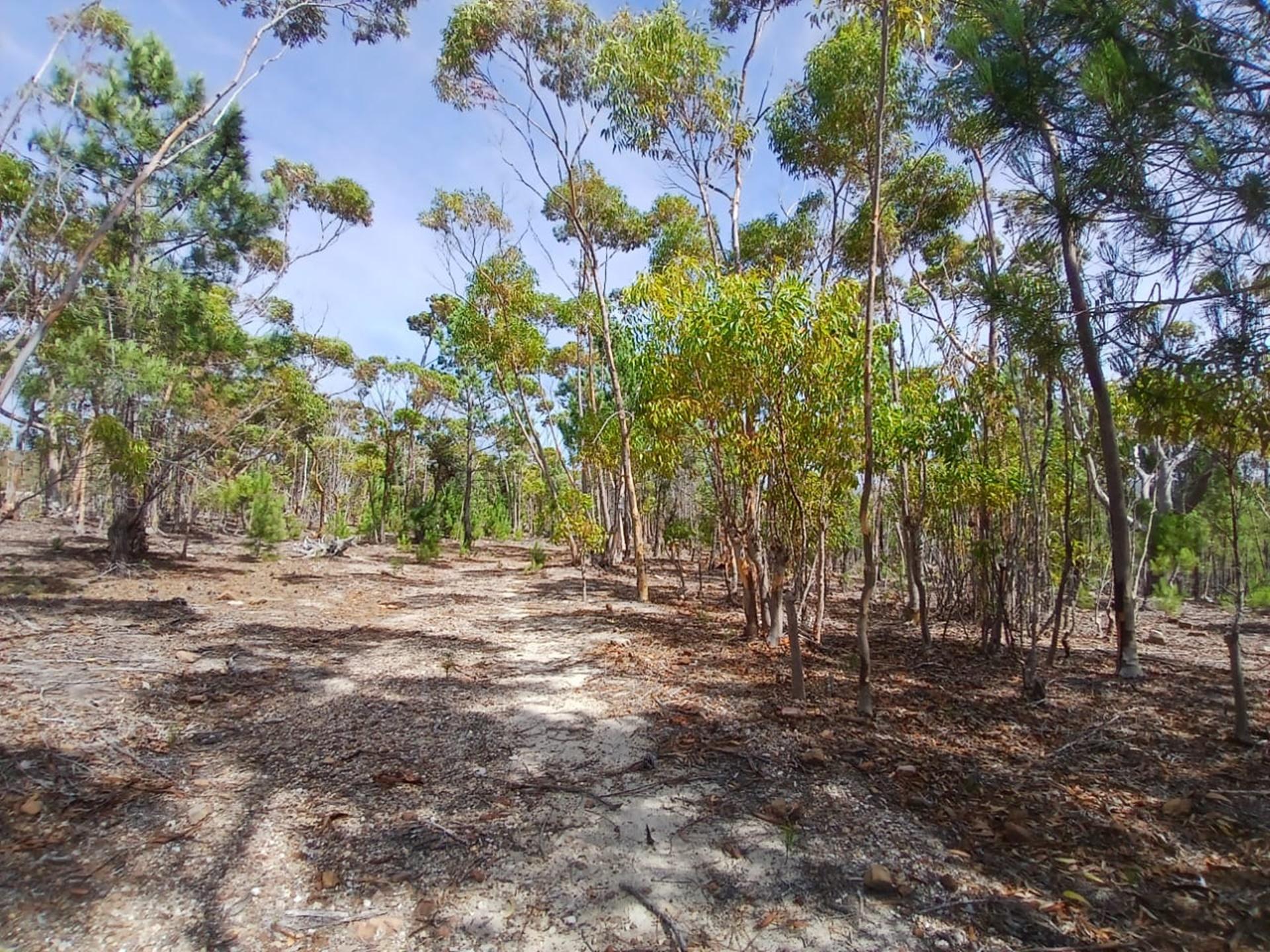 Image 13