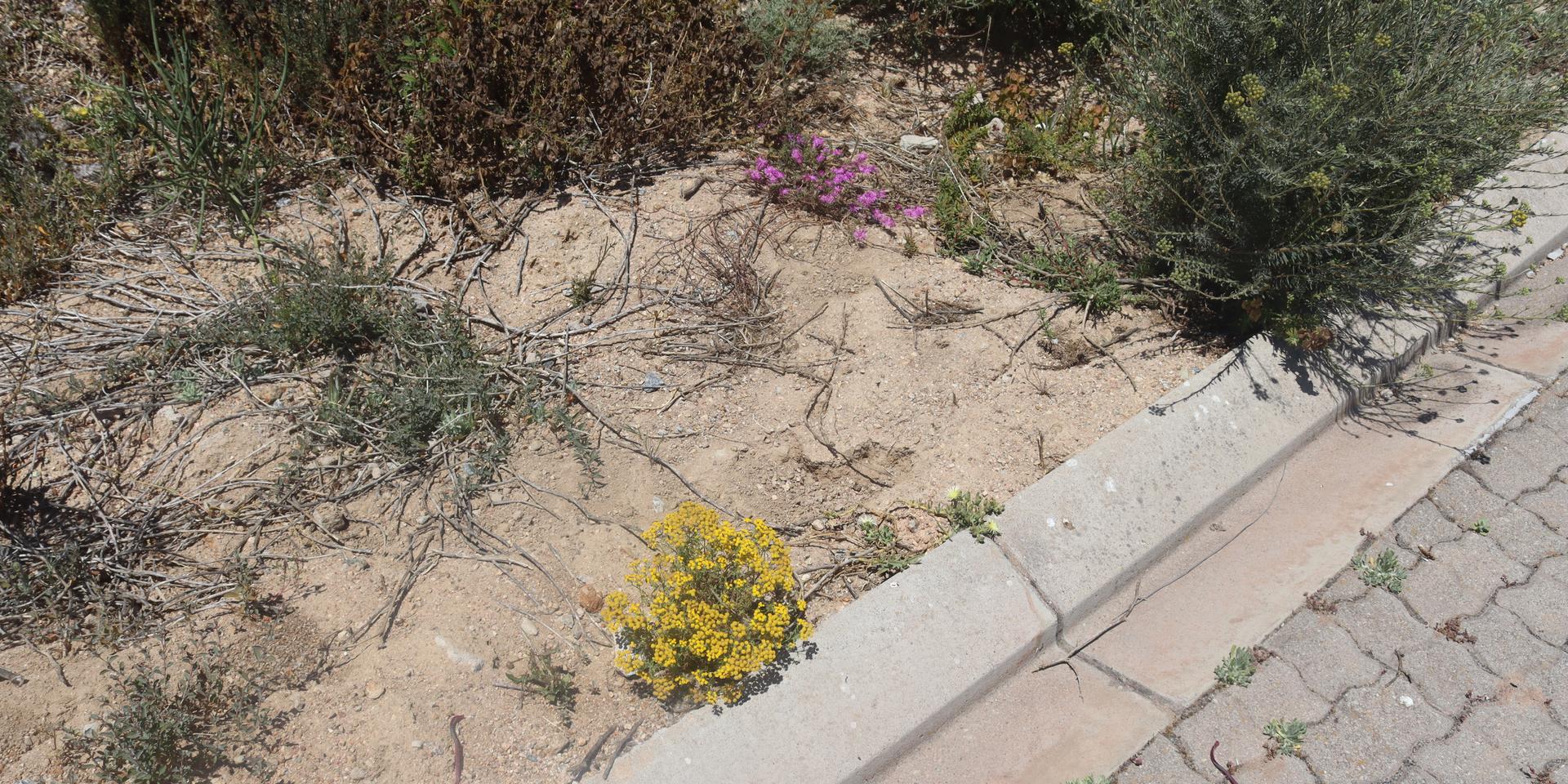 Image 5 of 6