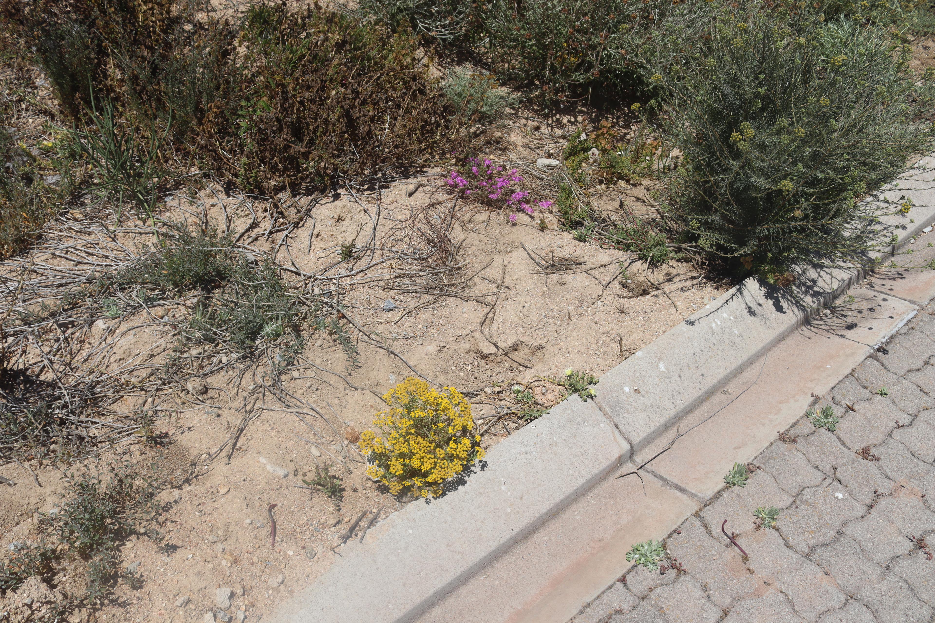 Image 5 of 6