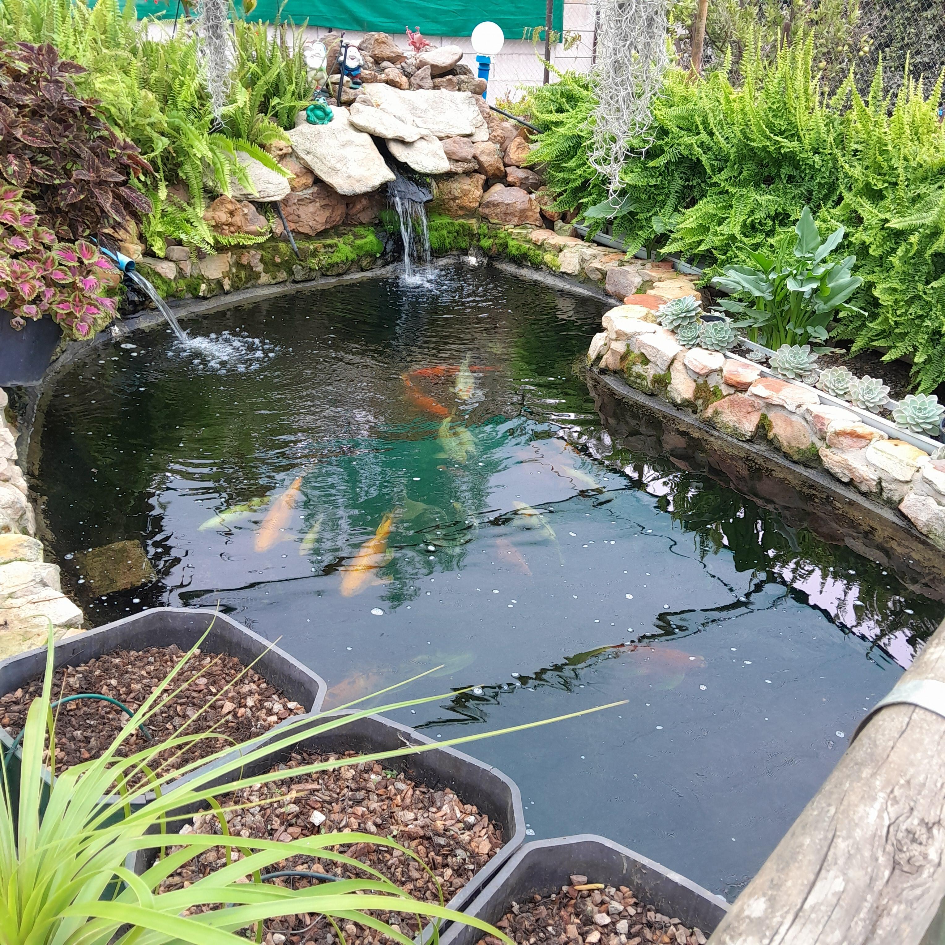 Image 15