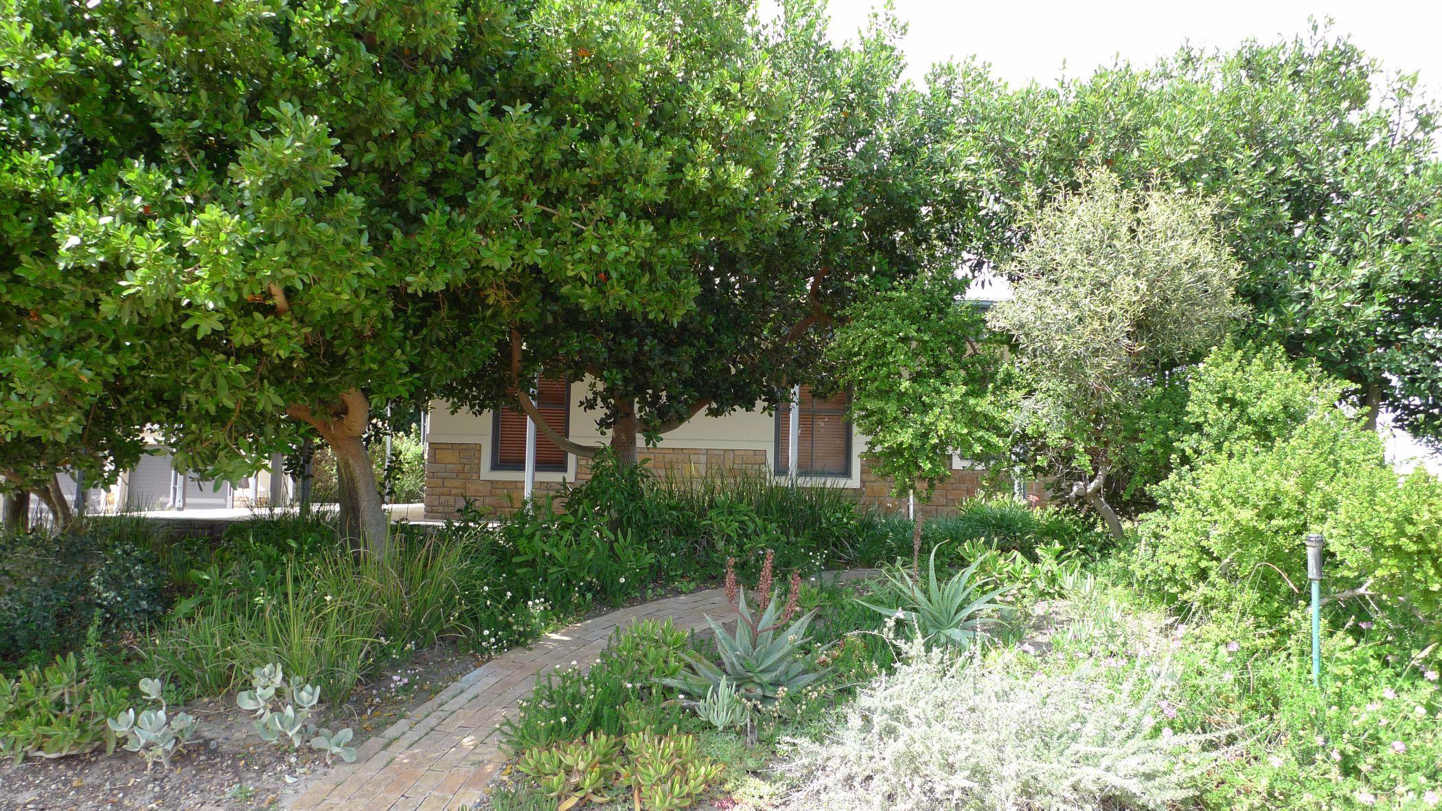 Image 22