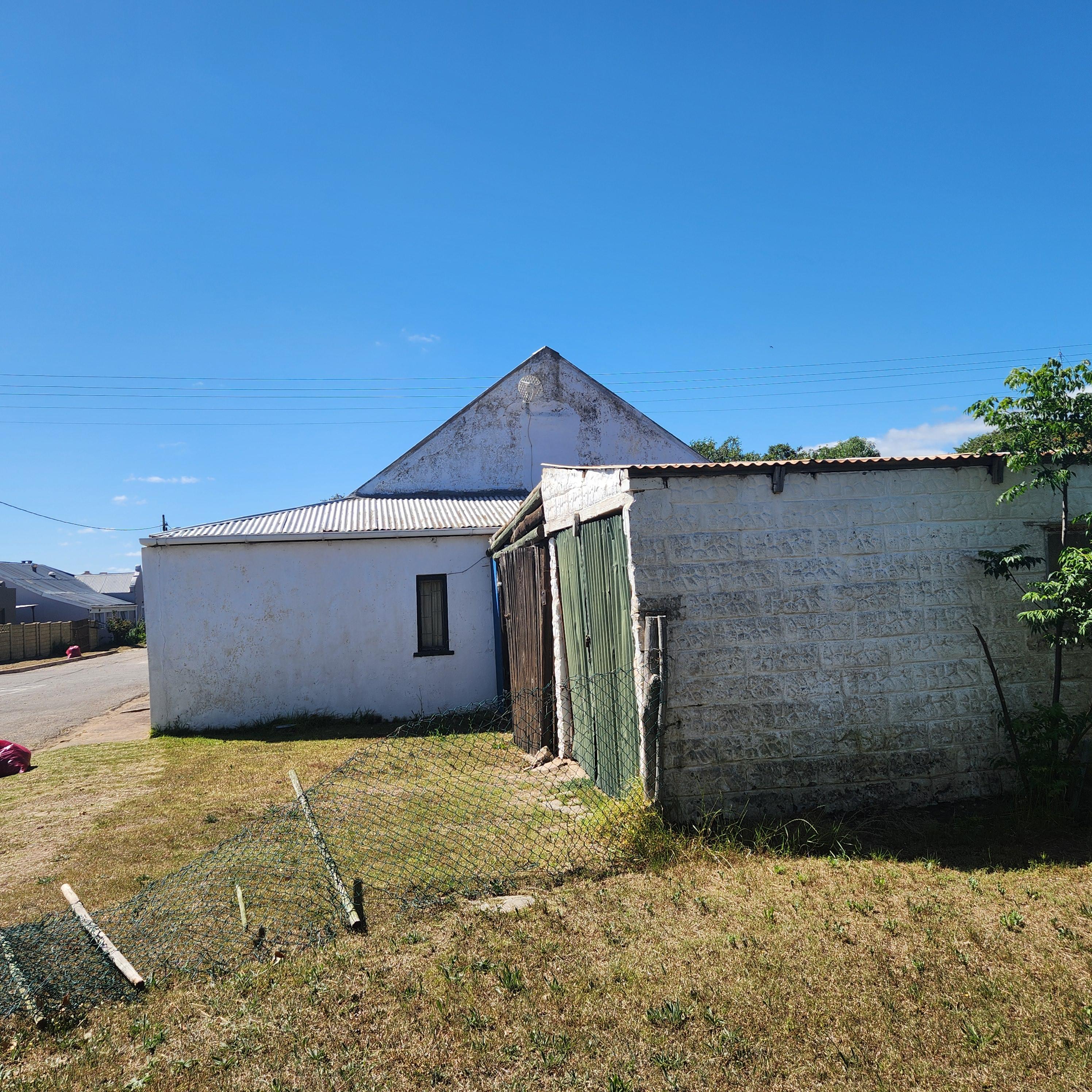 Image 7
