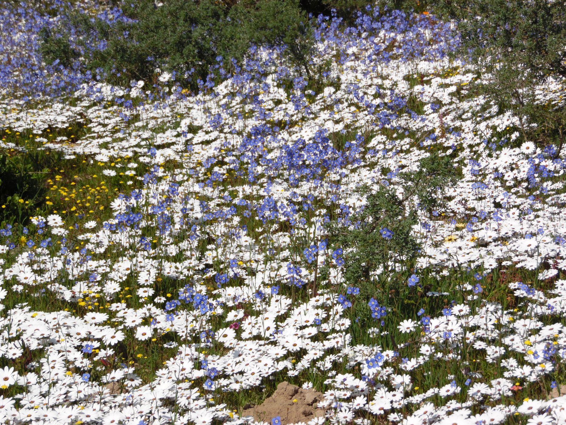 Image 26
