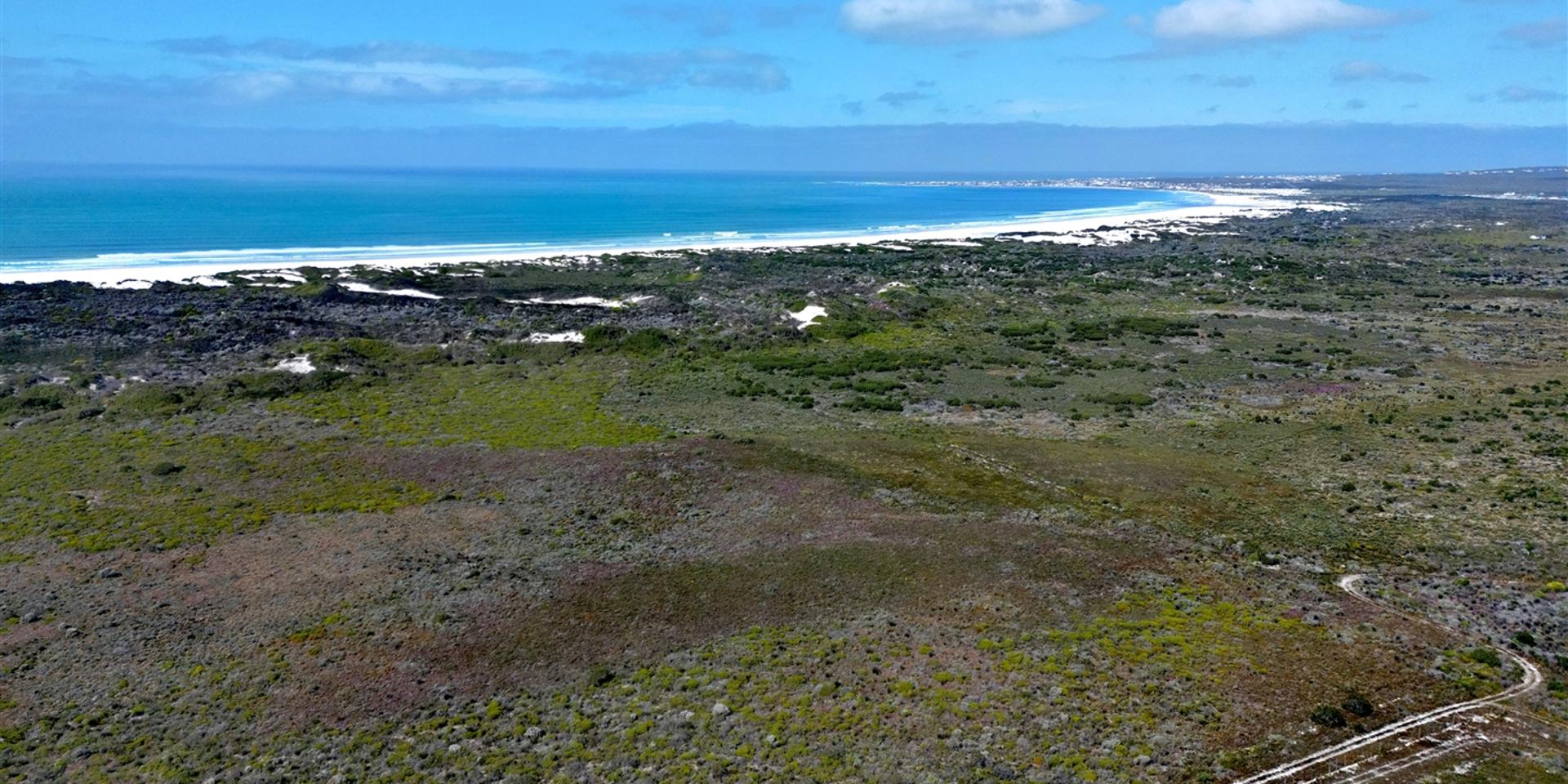 Image 4 of 6