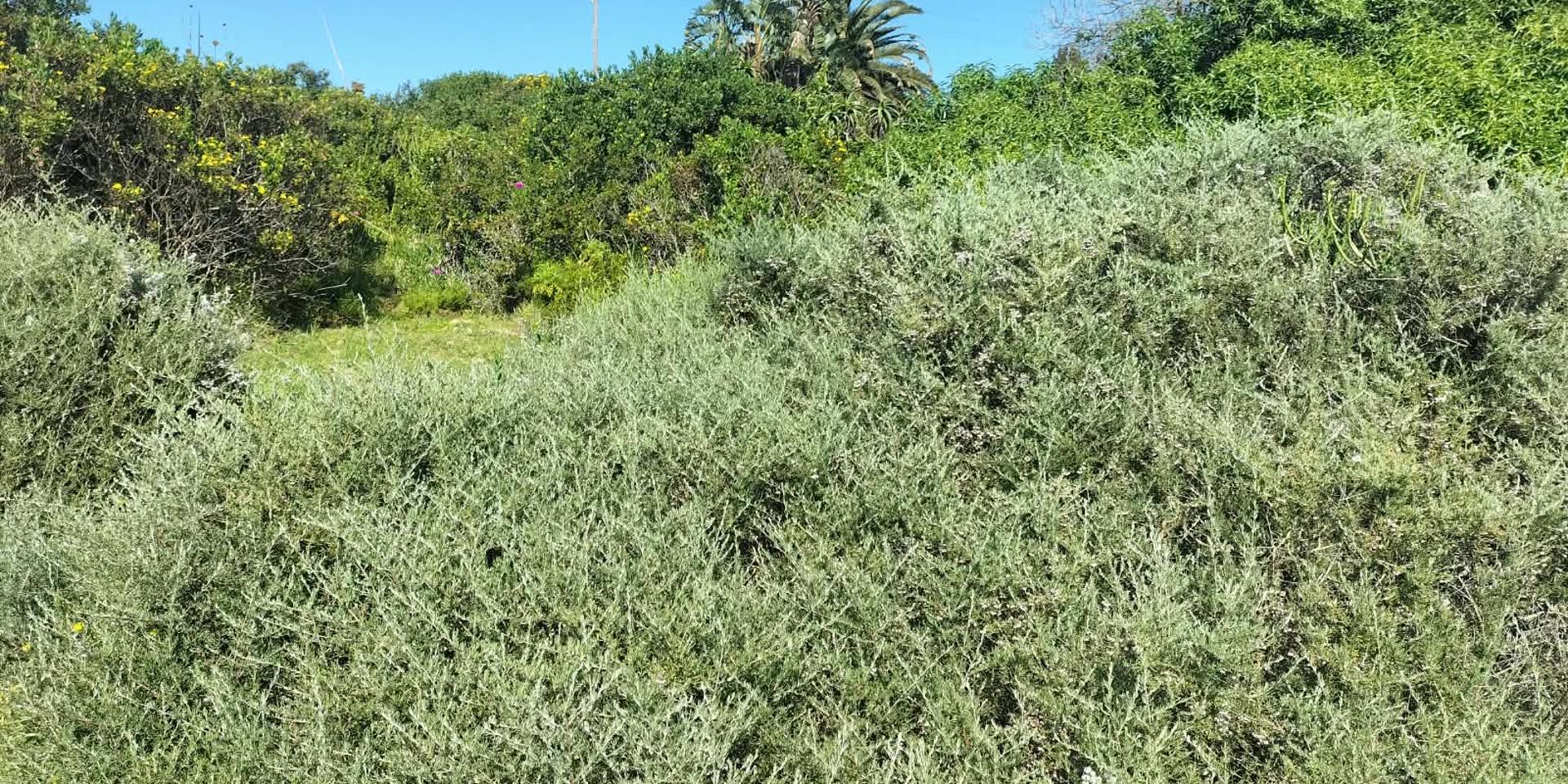 Image 5 of 6