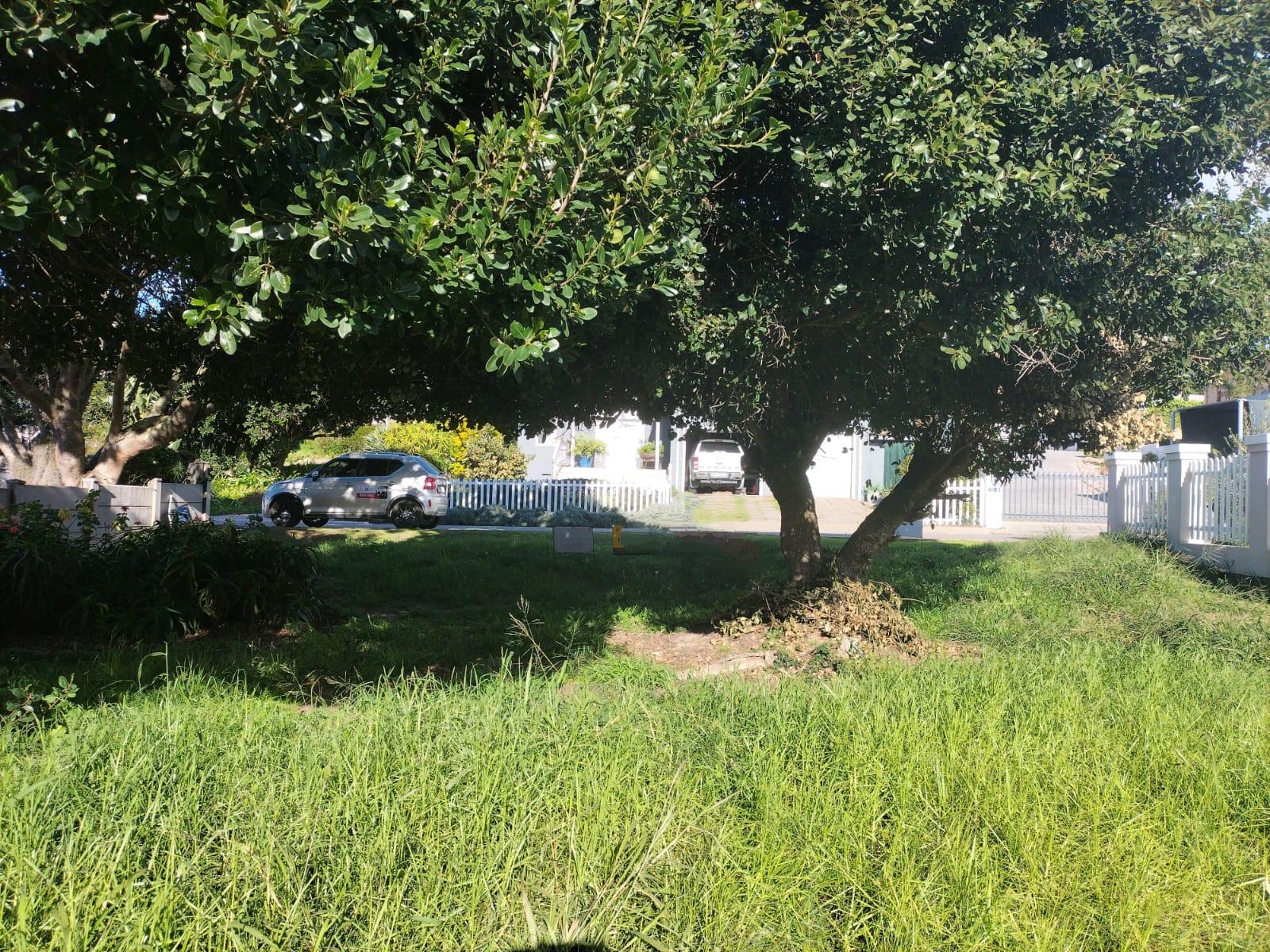 Image 4 of 6
