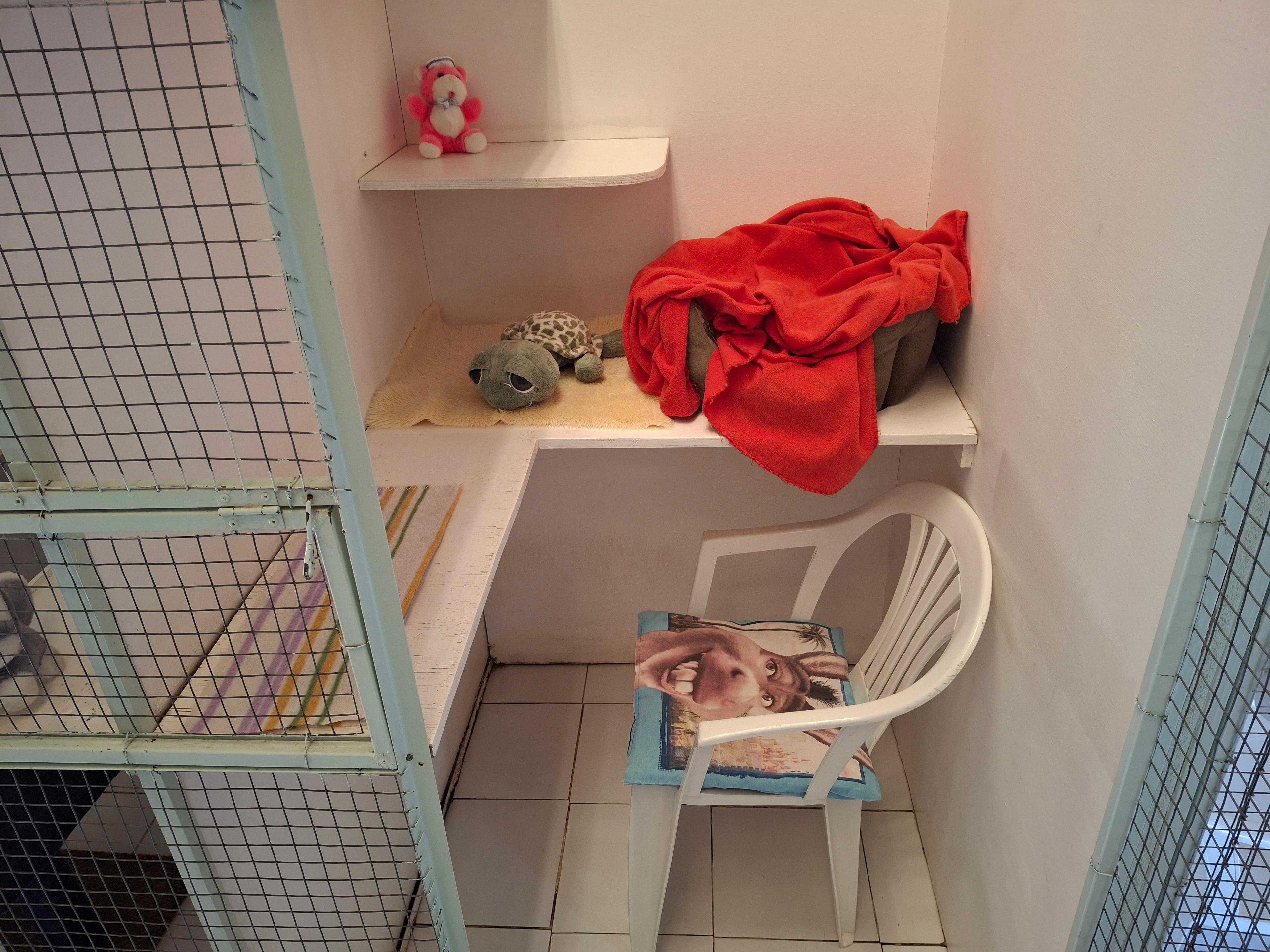 Image 31