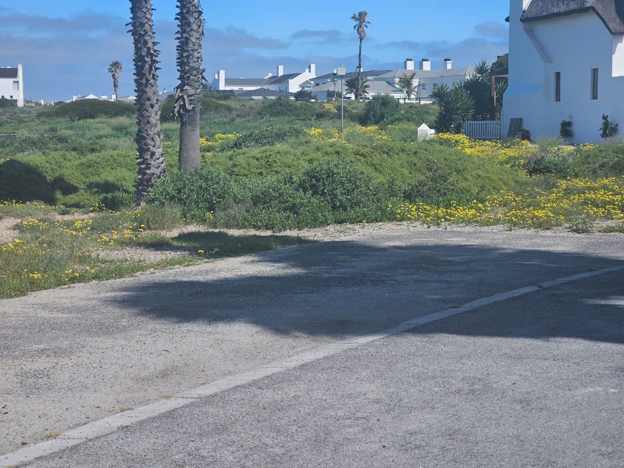 Image 4 of 6