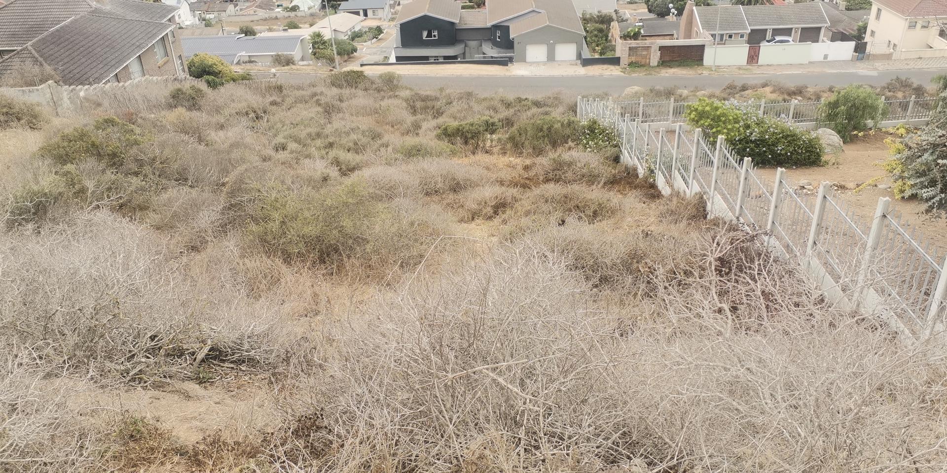 Image 4 of 6