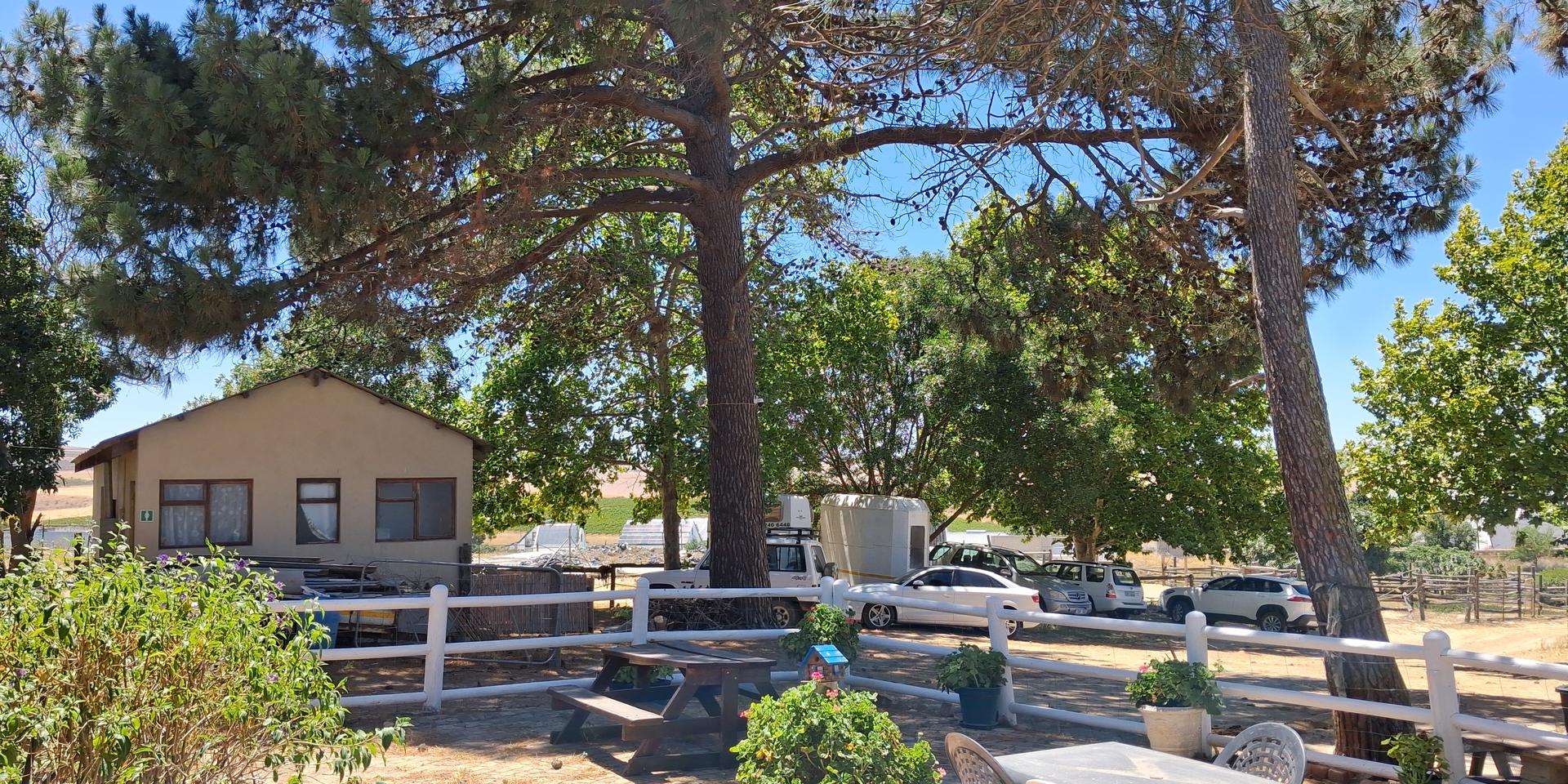 Image 5 of 6