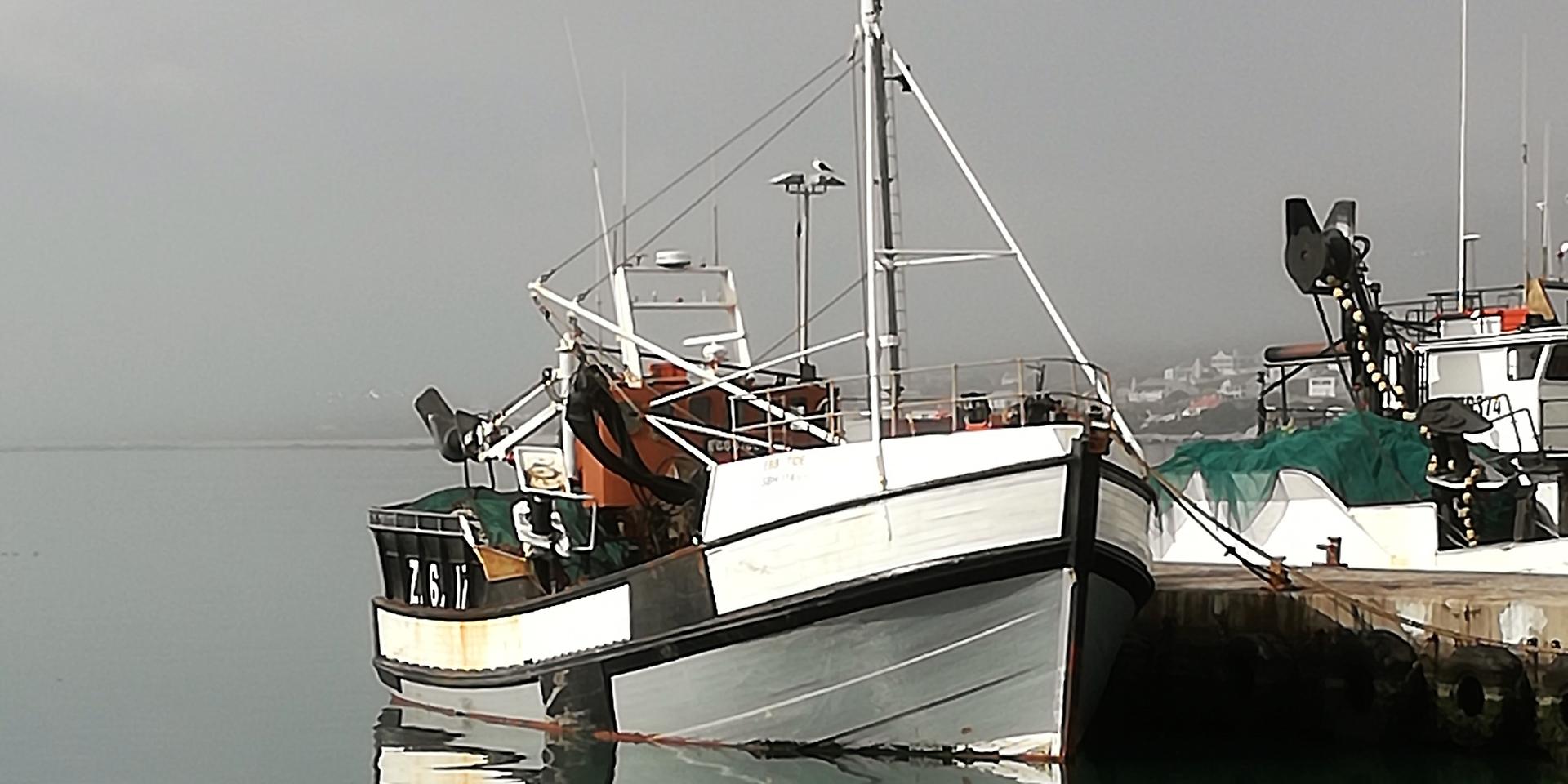 Image 5 of 6
