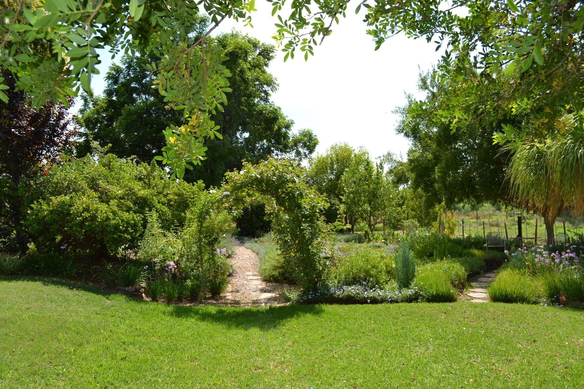 Image 37