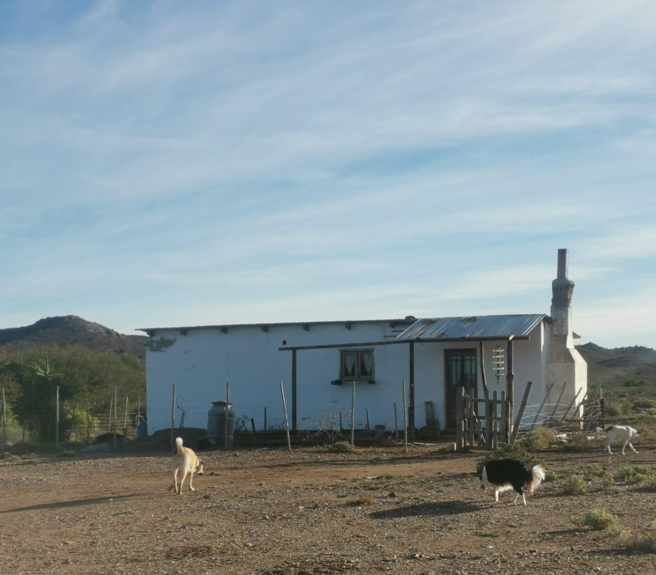 Image 33