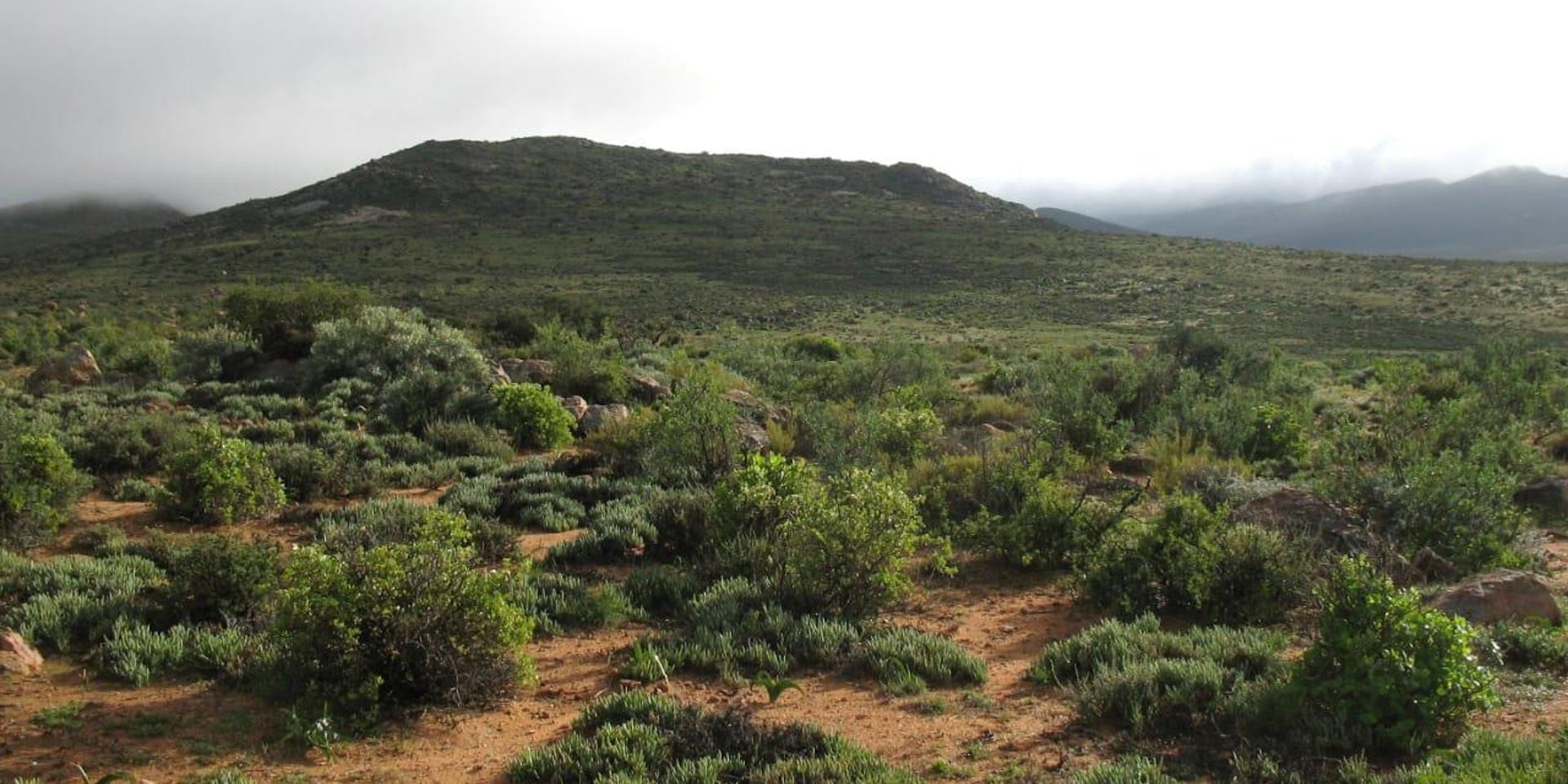 Image 4 of 6