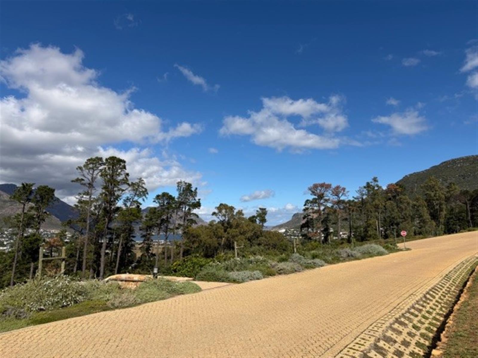 Image 15