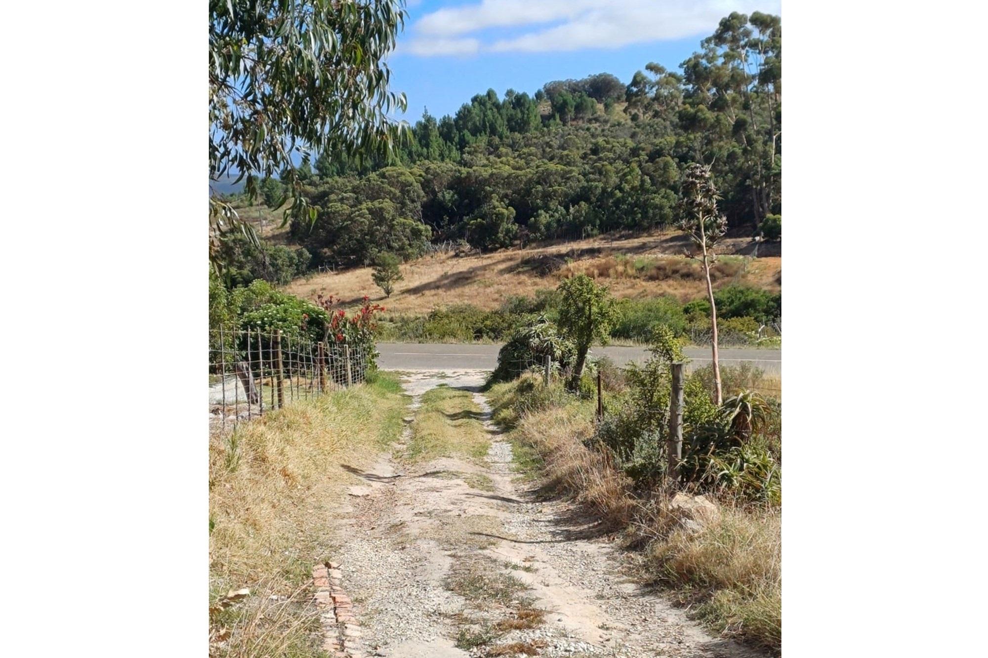 Image 15