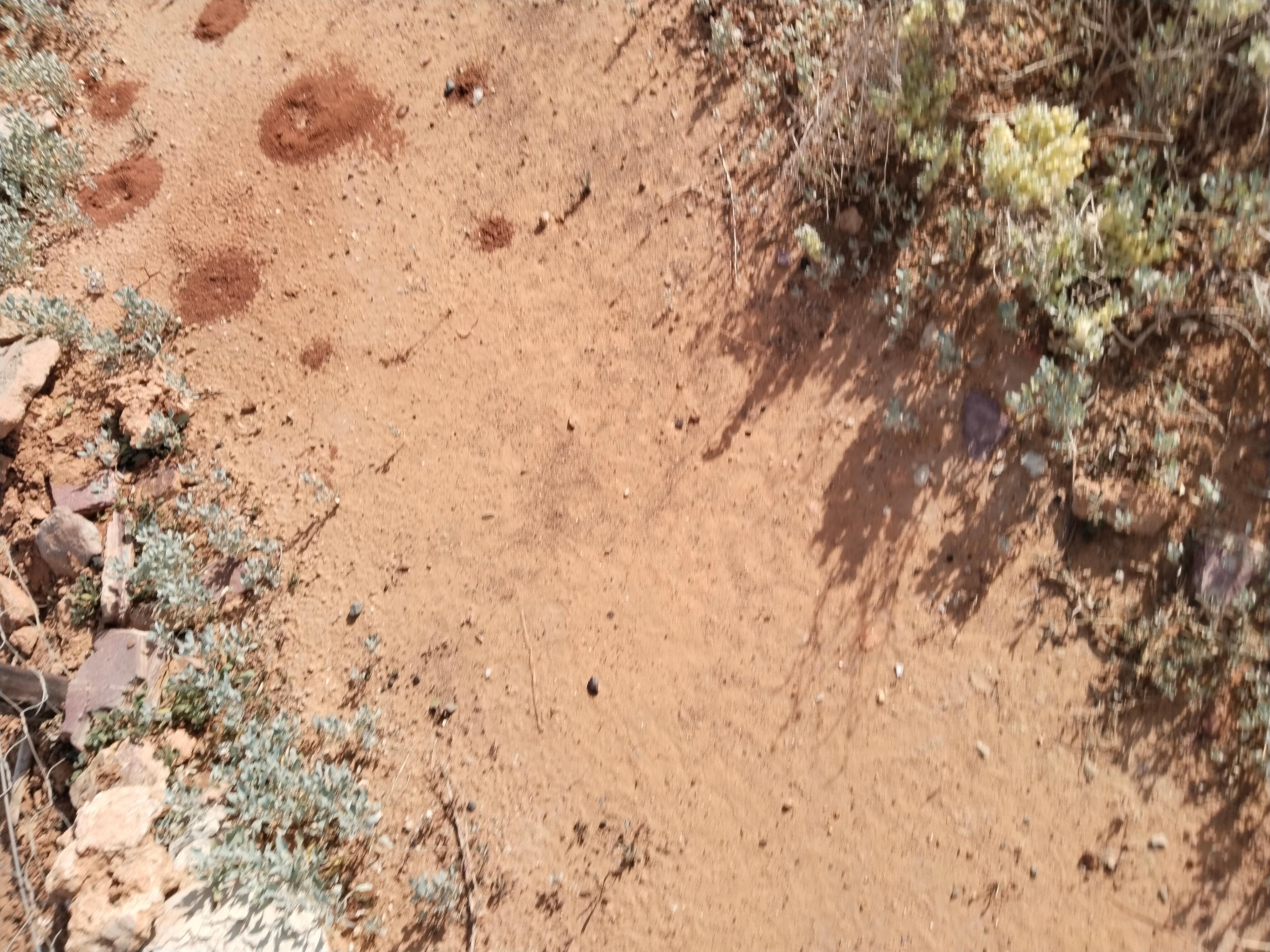 Image 5 of 6