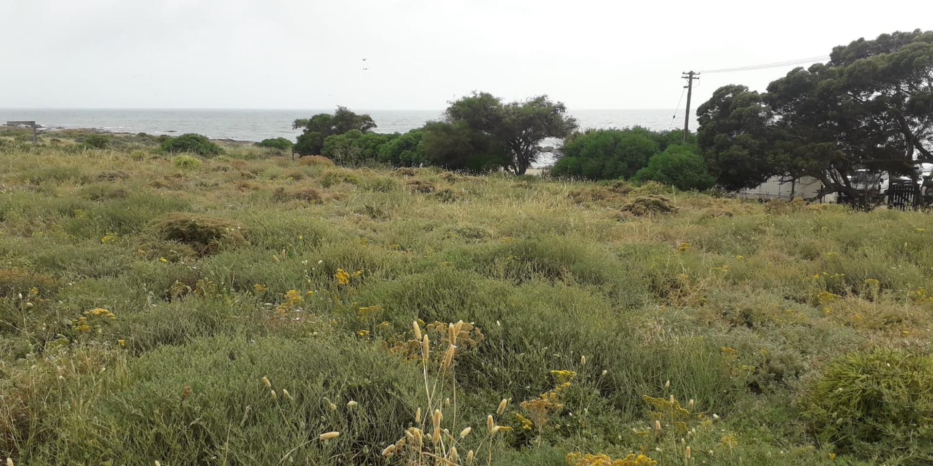 Image 2 of 6