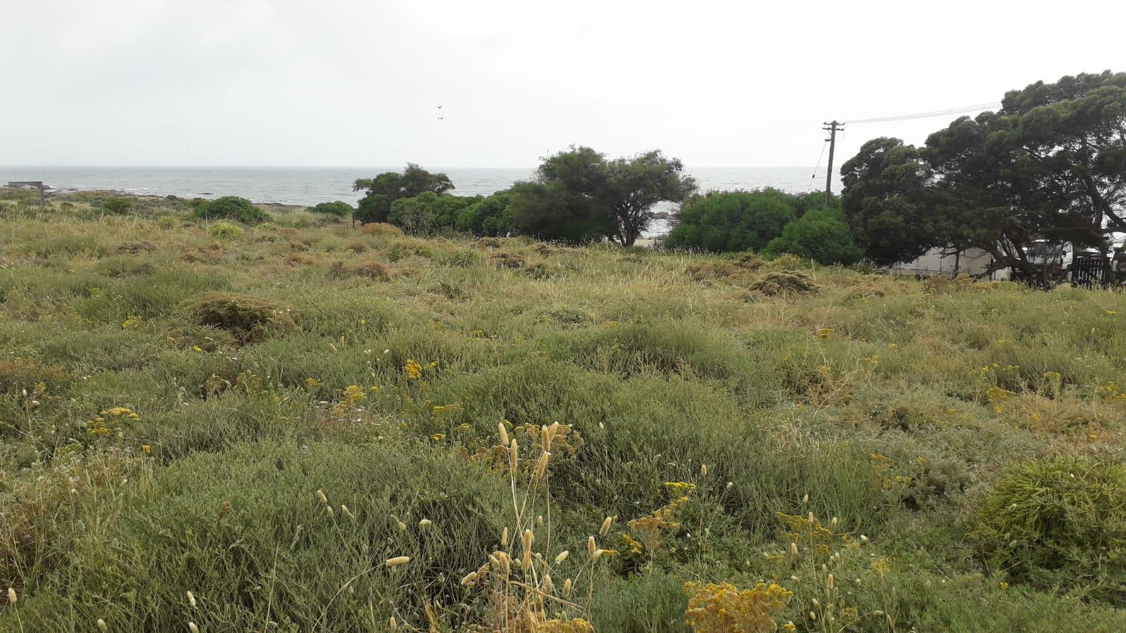 Image 2 of 6
