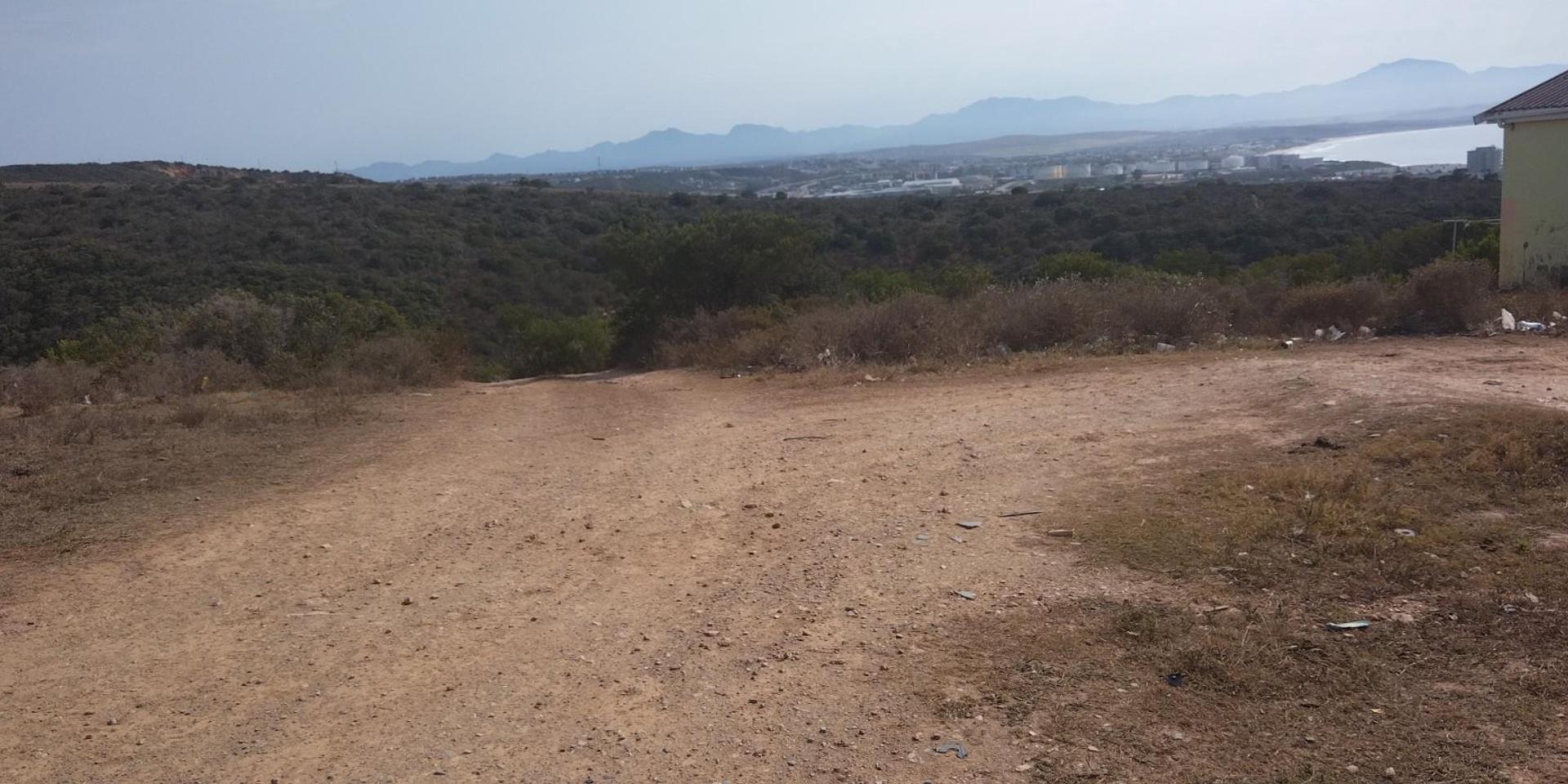 Image 4 of 6