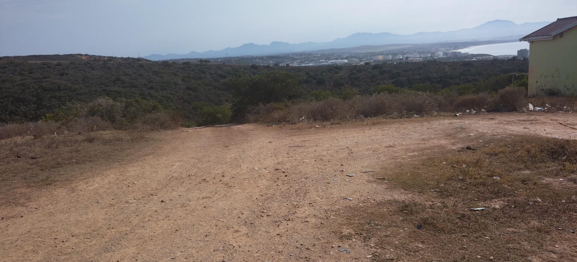 Image 4 of 6