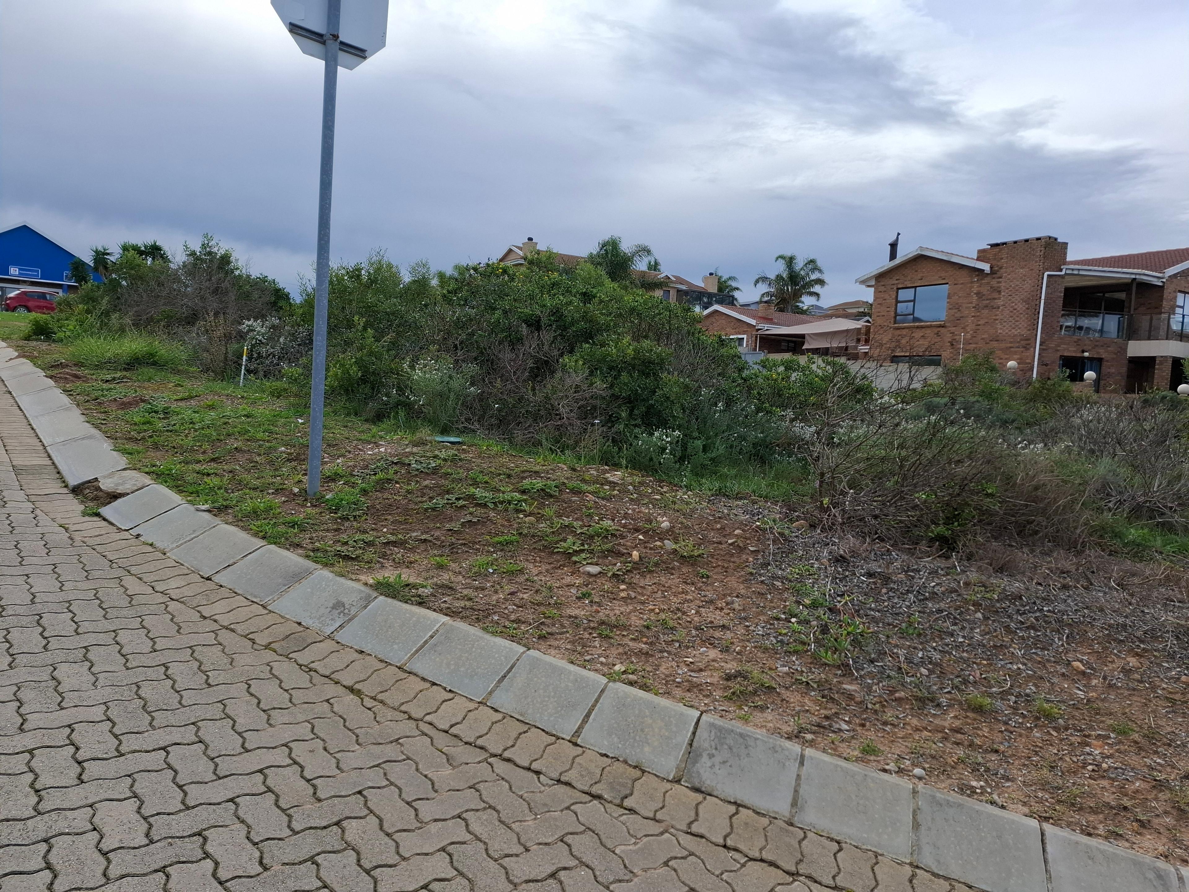 Image 12