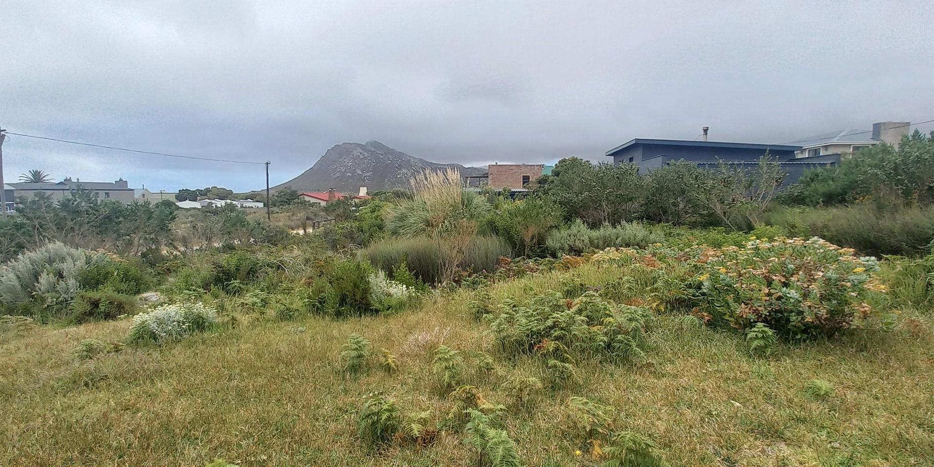Image 4 of 6