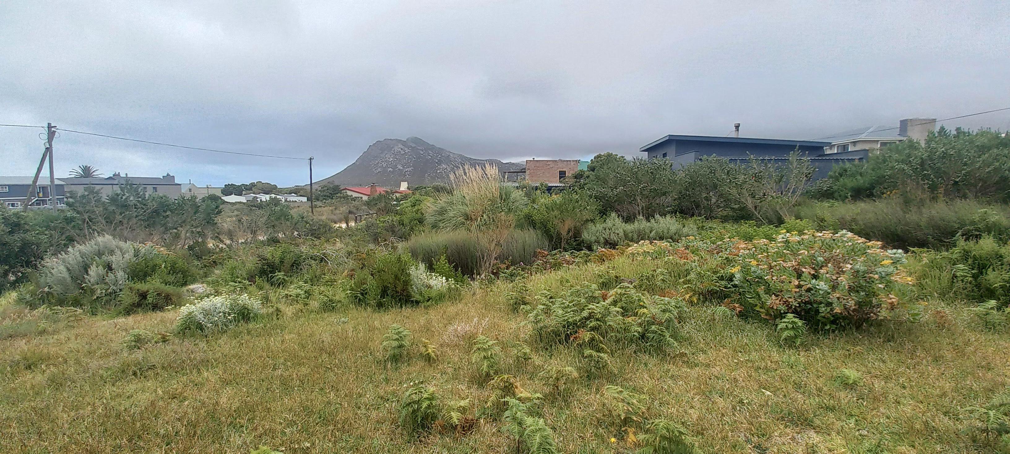 Image 4 of 6