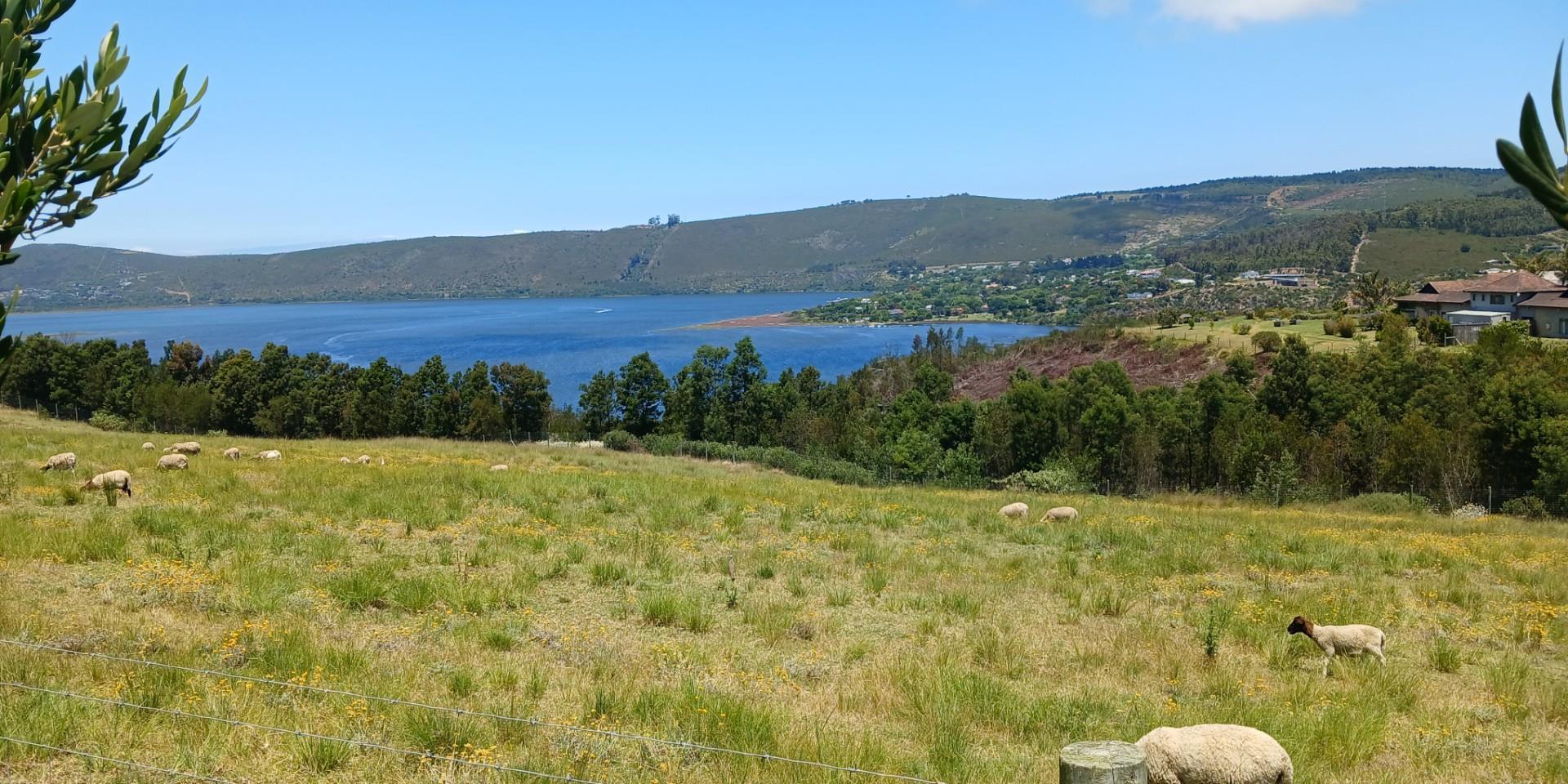 Image 4 of 6
