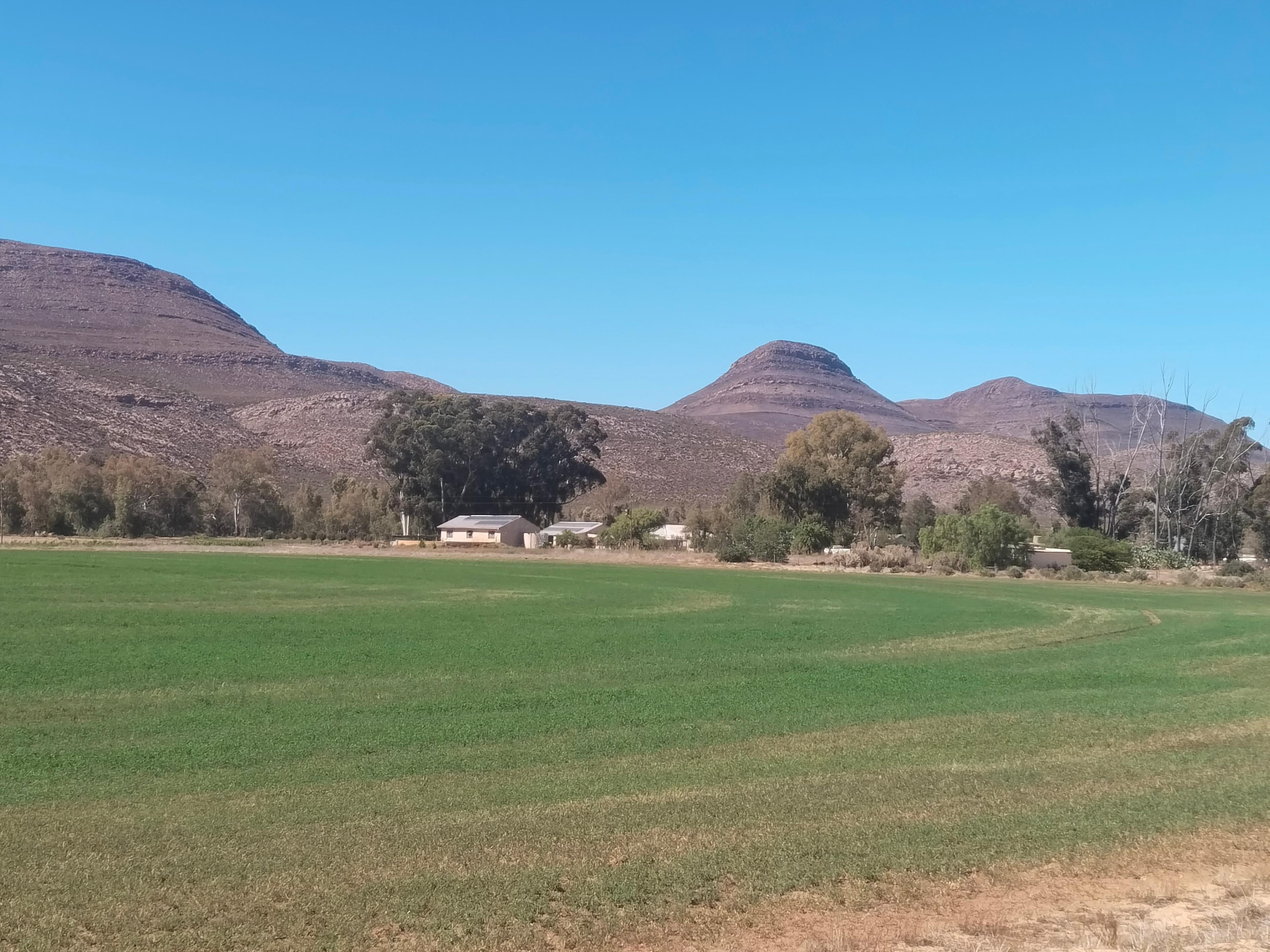Image 34